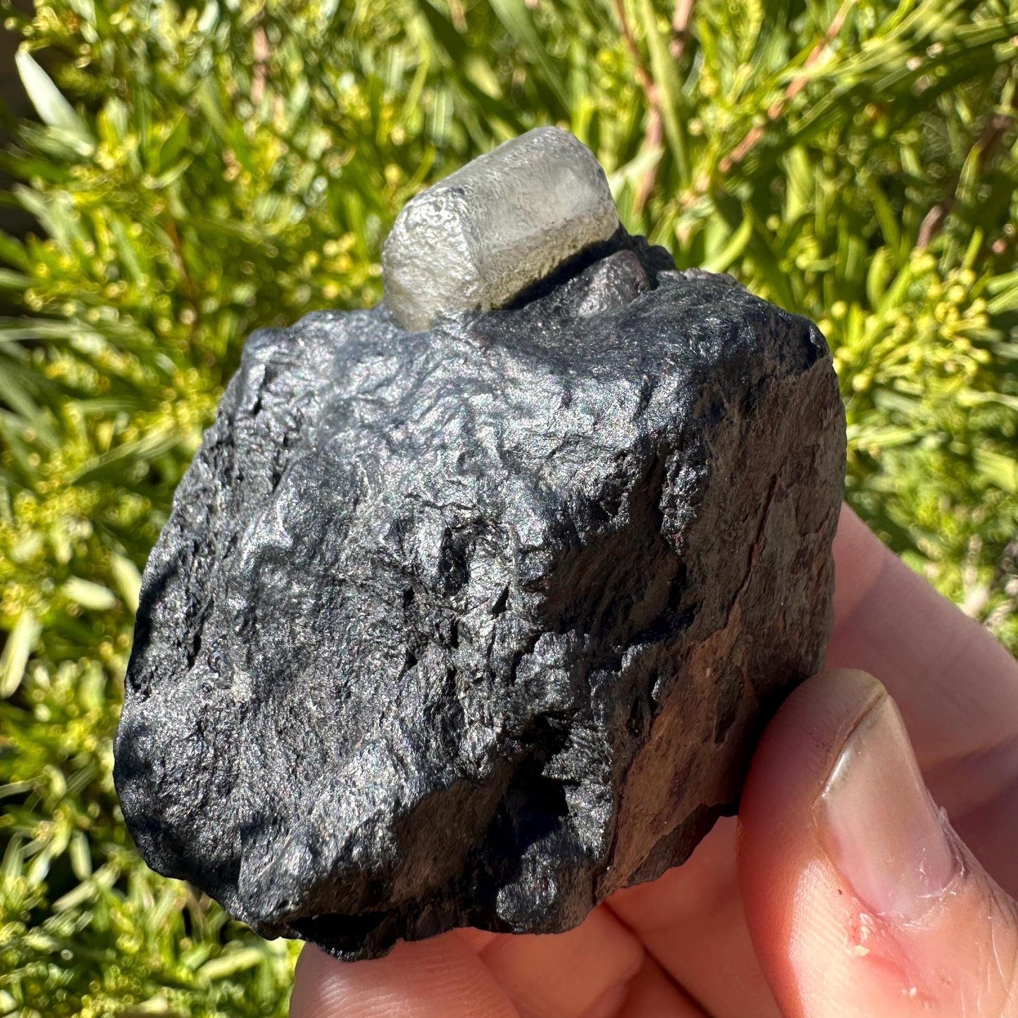 Phenacite|Phenakite Crystal on Biotite Matrix, Brazilian Phenacite, Black Phenacite, Biotite, Authentic Phenacite, 122.38 grams/612 carats
