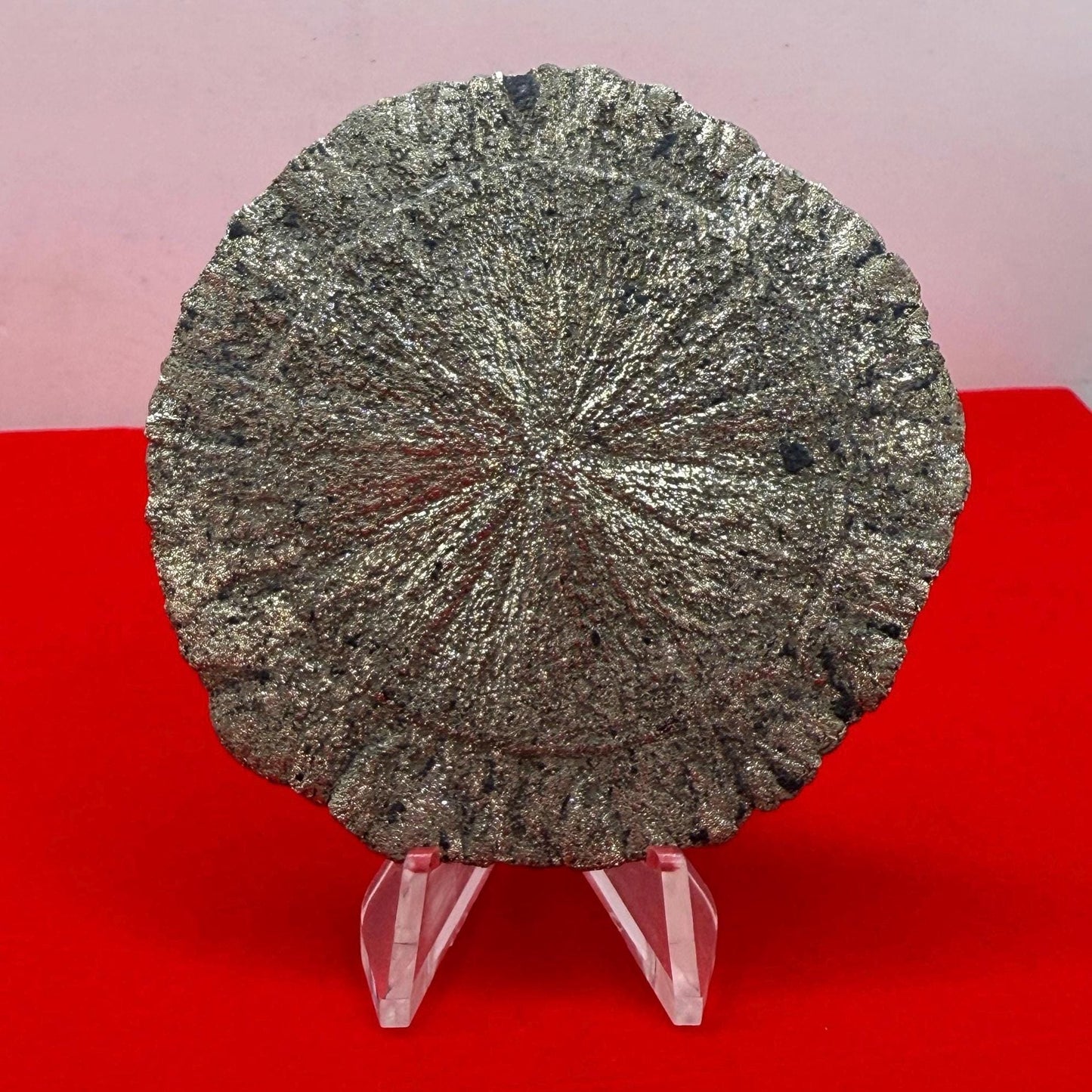 Sparkling Pyrite Sun, Pyrite Dollar, Pyrite, Rock Collection, Sparta Illinois, Radiant Sun, Abundance, Creativity, Energy Work, 60.08 Grams