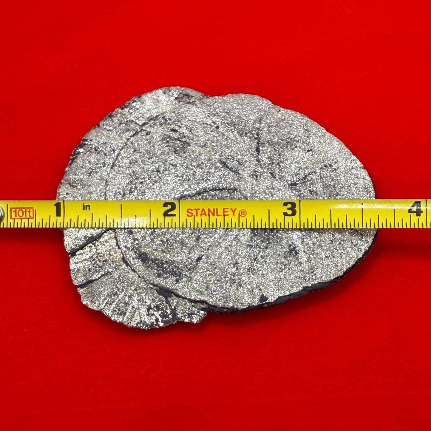 Pyrite Sun, Pyrite Dollar, Sparkling Pyrite, Rock Collection, Sparta Illinois, Radiant Sun, Abundance, Creativity, Energy Work, 67.38 Grams