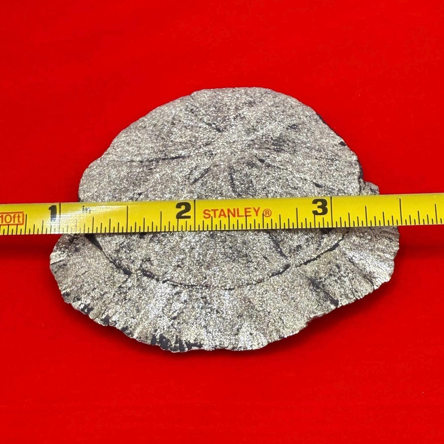 Pyrite Sun, Pyrite Dollar, Sparkling Pyrite, Rock Collection, Sparta Illinois, Radiant Sun, Abundance, Creativity, Energy Work, 67.38 Grams