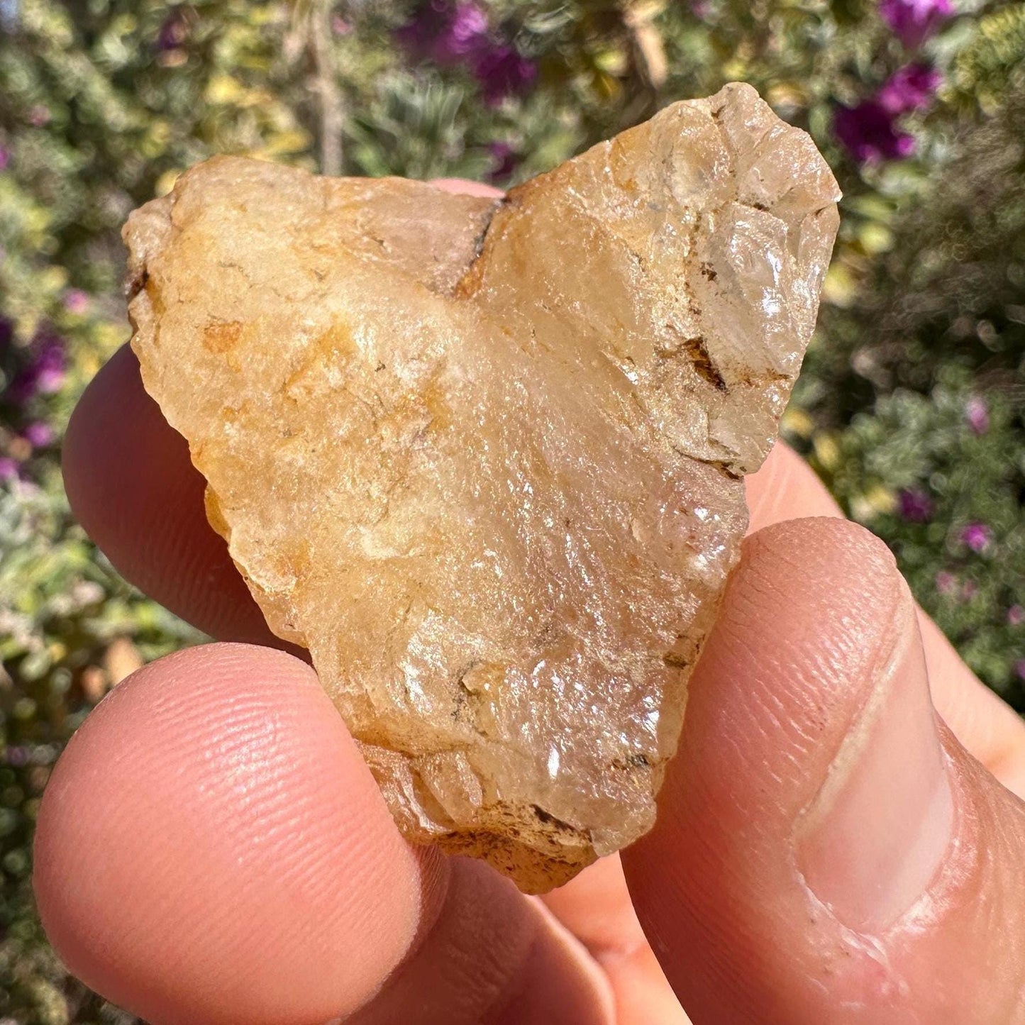 Rare Golden Brazilian Phenacite Crystal 21.12g, 105.6 carats, High-Vibration Energy Stone, Spiritual Growth, Transformation, and Meditation