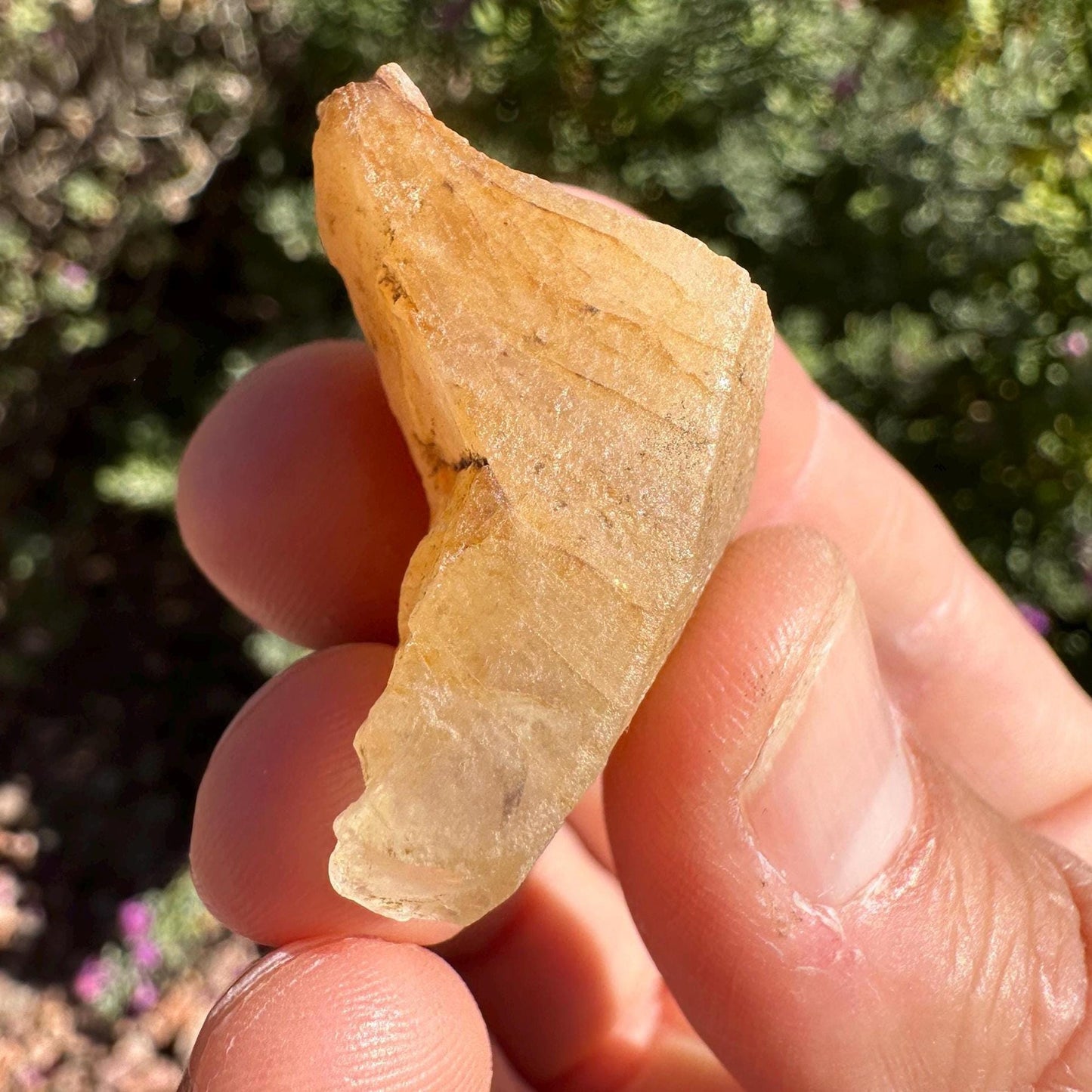 Rare Golden Brazilian Phenacite Crystal 21.12g, 105.6 carats, High-Vibration Energy Stone, Spiritual Growth, Transformation, and Meditation