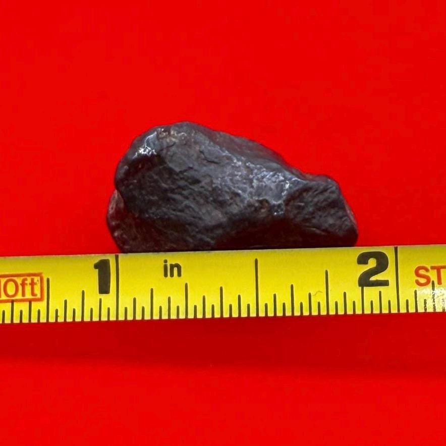 Canyon Diablo Meteorite Specimen, Arizona, 16.55 grams, Rare Meteorite, Iron Meteorite, Astronomy Gift, Space Gift, Energy Work, Meteorite