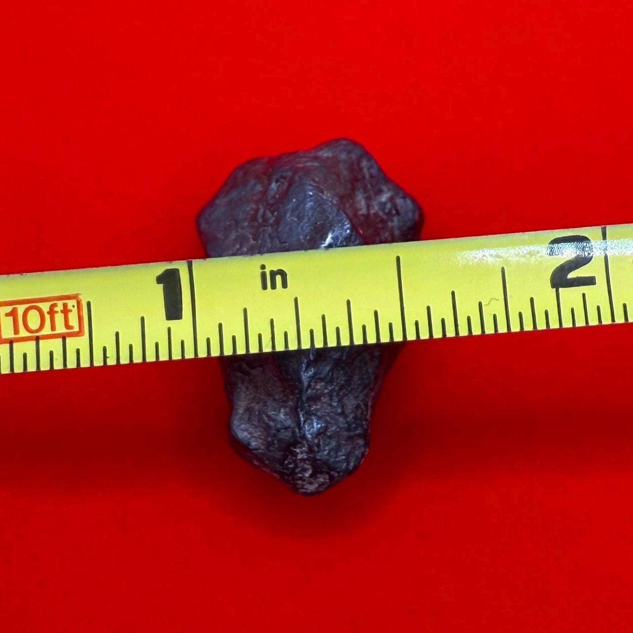 Canyon Diablo Meteorite Specimen, Arizona, 16.55 grams, Rare Meteorite, Iron Meteorite, Astronomy Gift, Space Gift, Energy Work, Meteorite