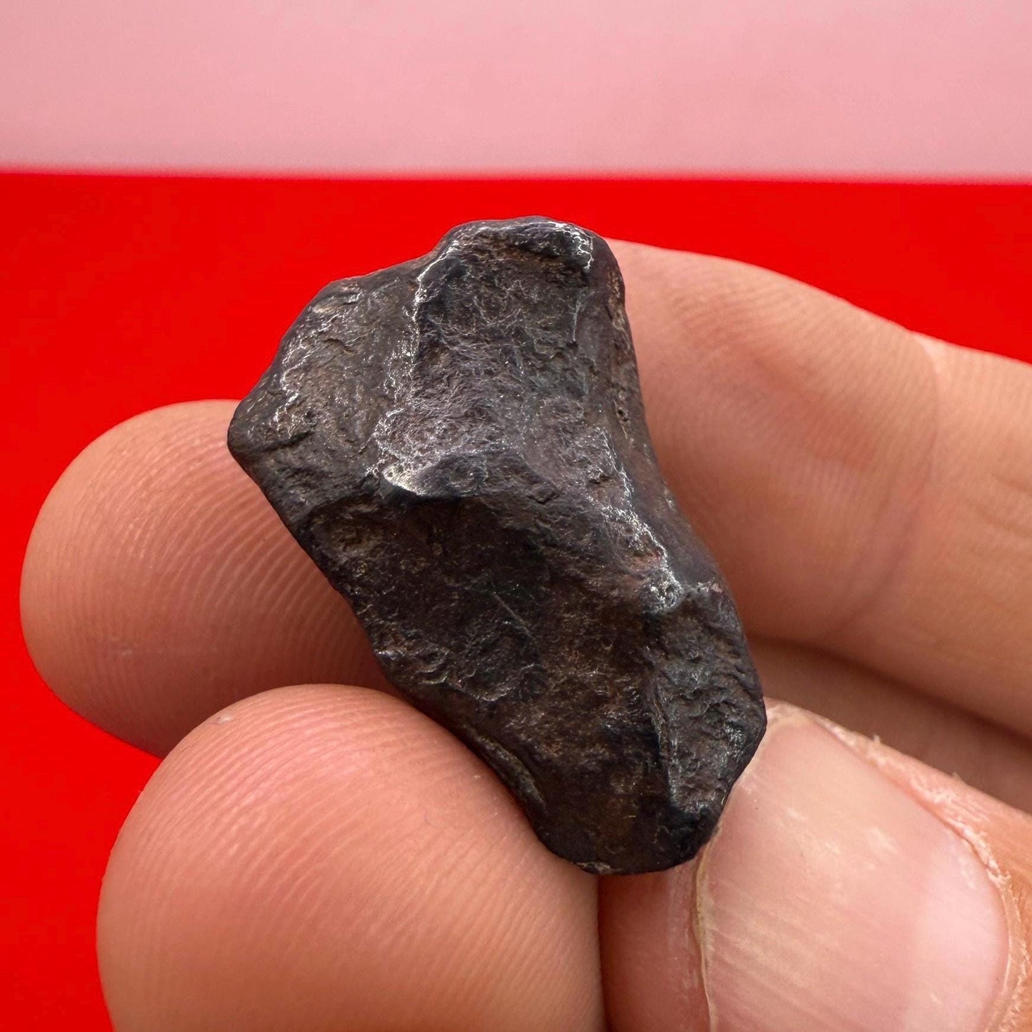 Canyon Diablo Meteorite Specimen, Arizona, 16.55 grams, Rare Meteorite, Iron Meteorite, Astronomy Gift, Space Gift, Energy Work, Meteorite
