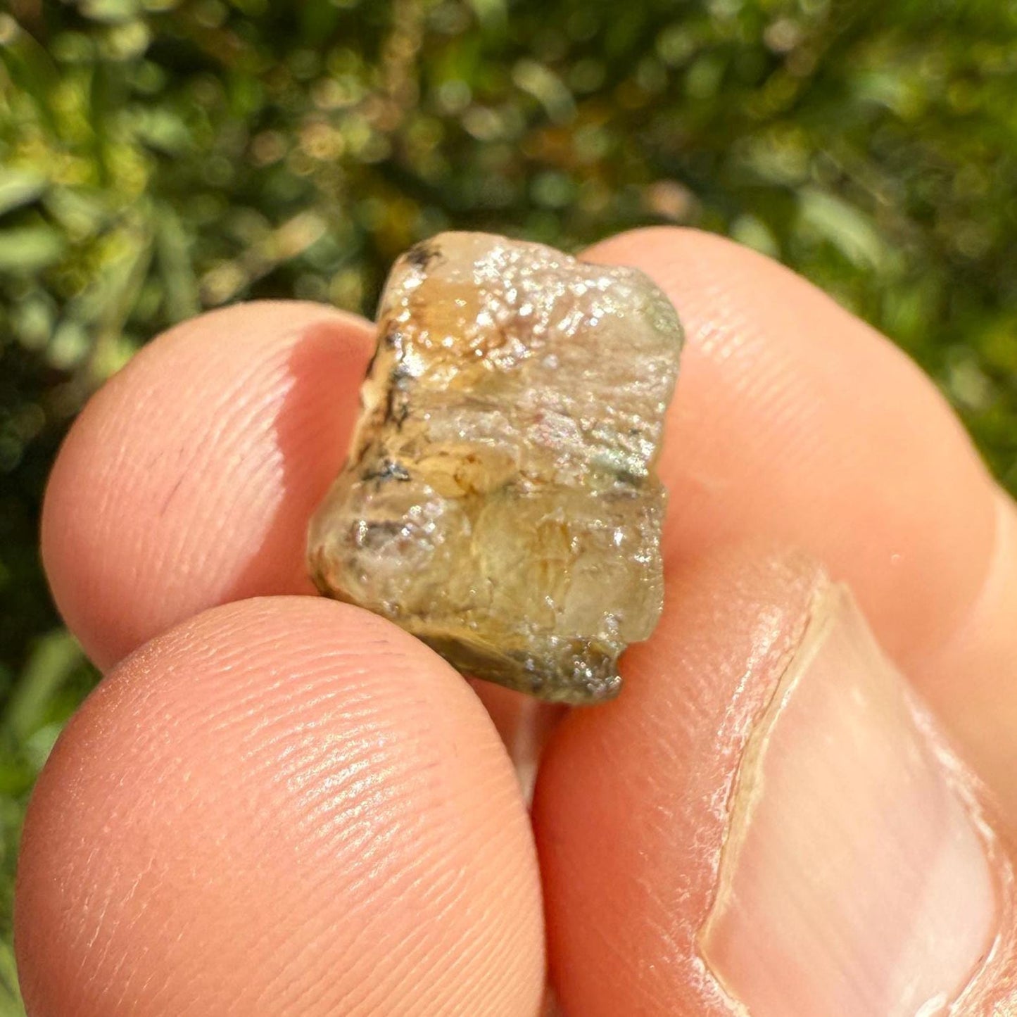 Rare Golden Brazilian Phenacite Crystal 2.57g, 12.85 carats, High-Vibration Energy Stone, Spiritual Growth, Transformation, and Meditation