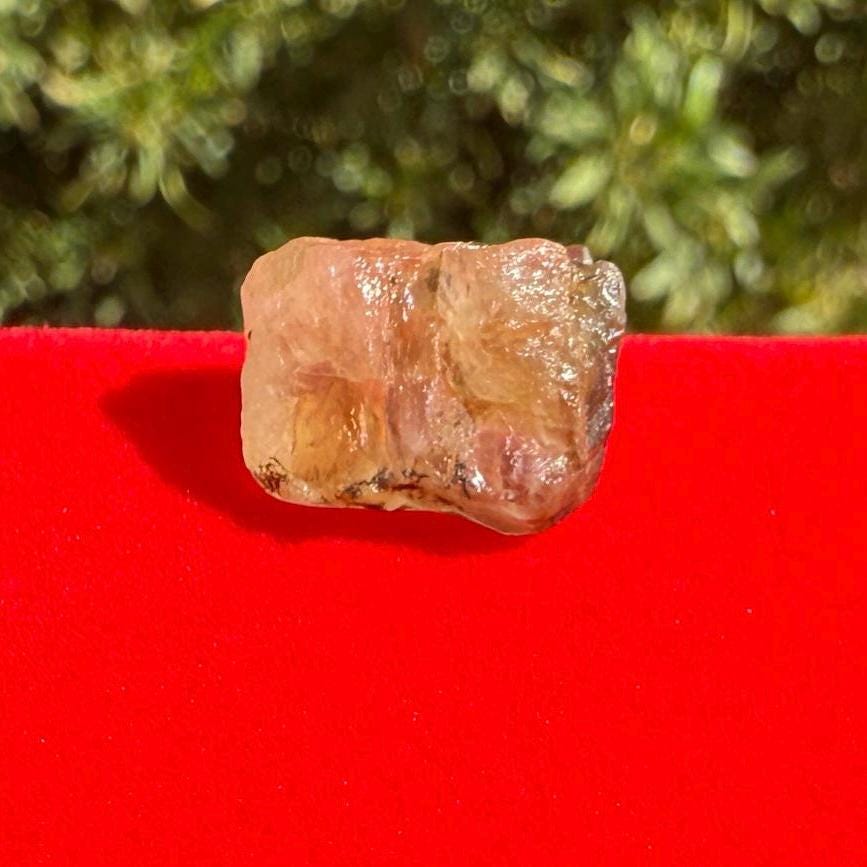 Rare Golden Brazilian Phenacite Crystal 2.57g, 12.85 carats, High-Vibration Energy Stone, Spiritual Growth, Transformation, and Meditation