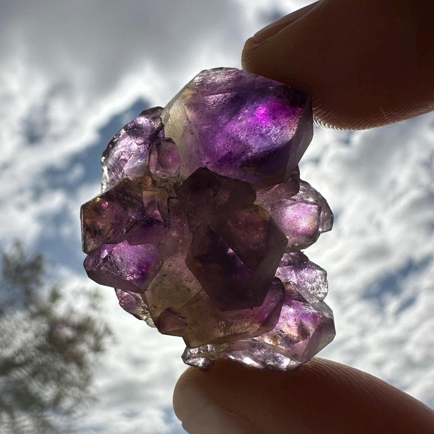 Deep Purple Amethyst Crystal Clusters, Brazilian Amethyst, Raw Amethyst, Crystals, Crystal Collection, Amethyst Quartz, Reiki Healing