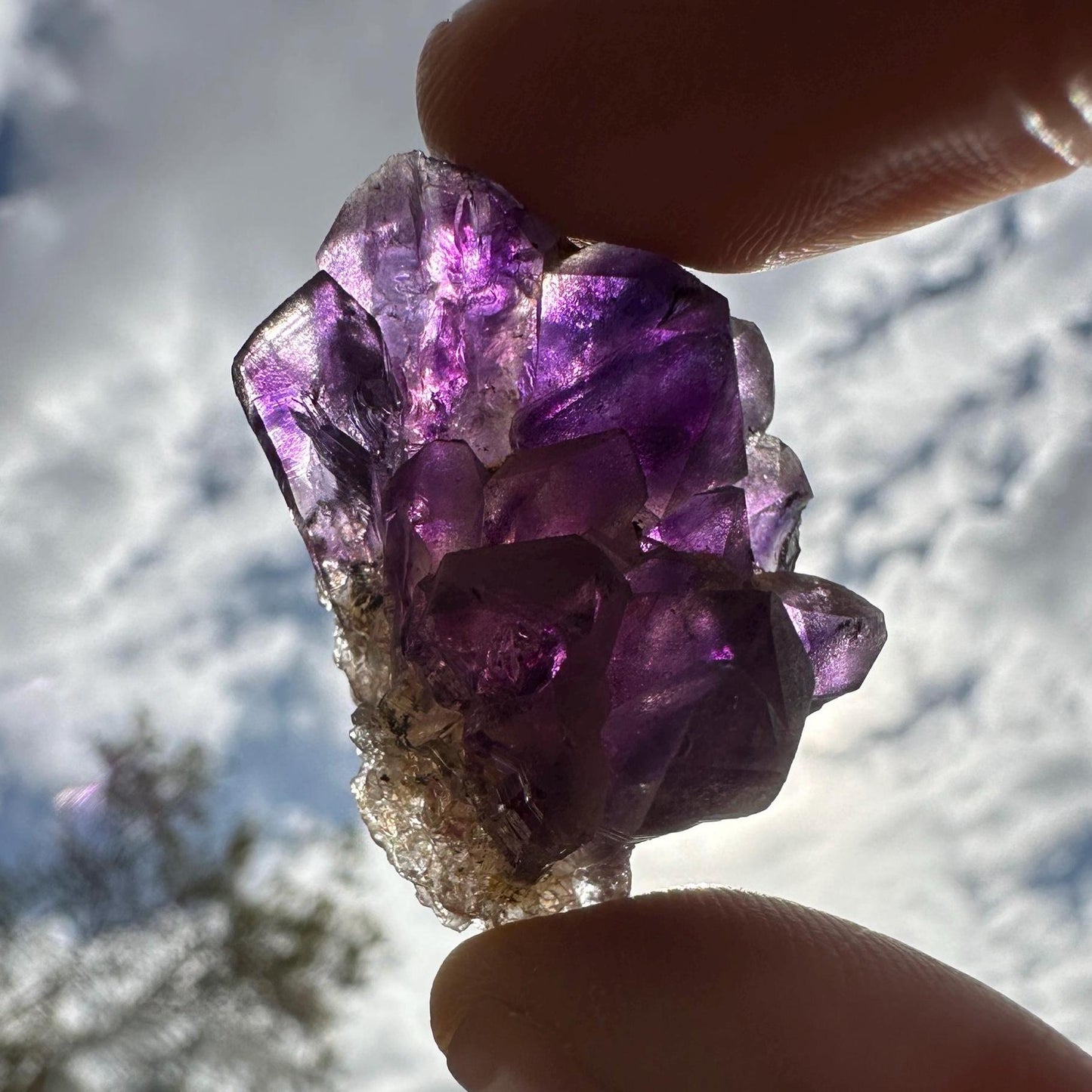 Deep Purple Amethyst Crystal Clusters, Brazilian Amethyst, Raw Amethyst, Crystals, Crystal Collection, Amethyst Quartz, Reiki Healing