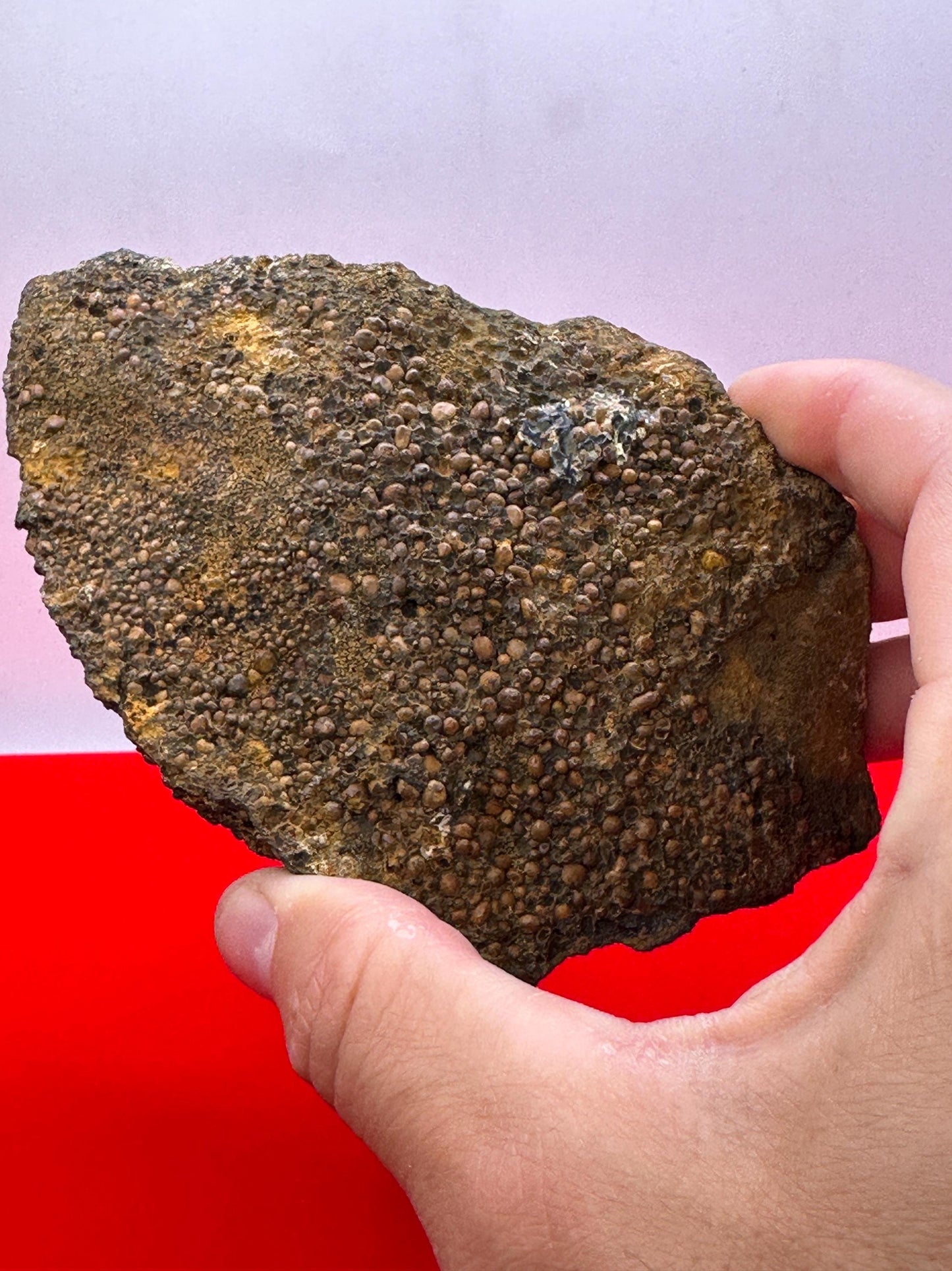 Rare Large Vivianite Crystal Specimen, Vivianite, Vivianite, Brazilian Vivianite, Reiki Energy, Crystal Collection, Reiki, 426 Grams/15 oz