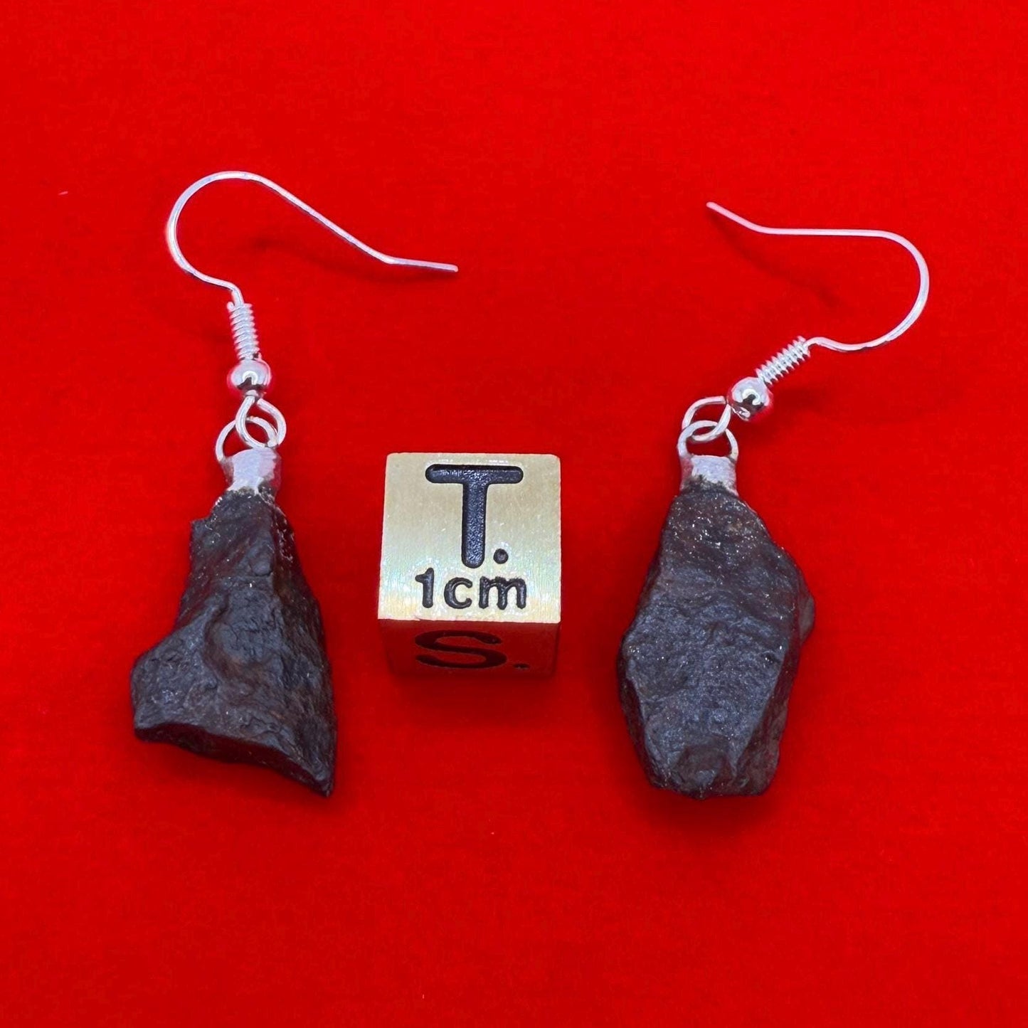 Canyon Diablo Meteorite Earings, Meteorite Earings, Fishhook Earrings, Space Jewelry, Dangle Earrings, Handmade Earrings, 6.99 Grams