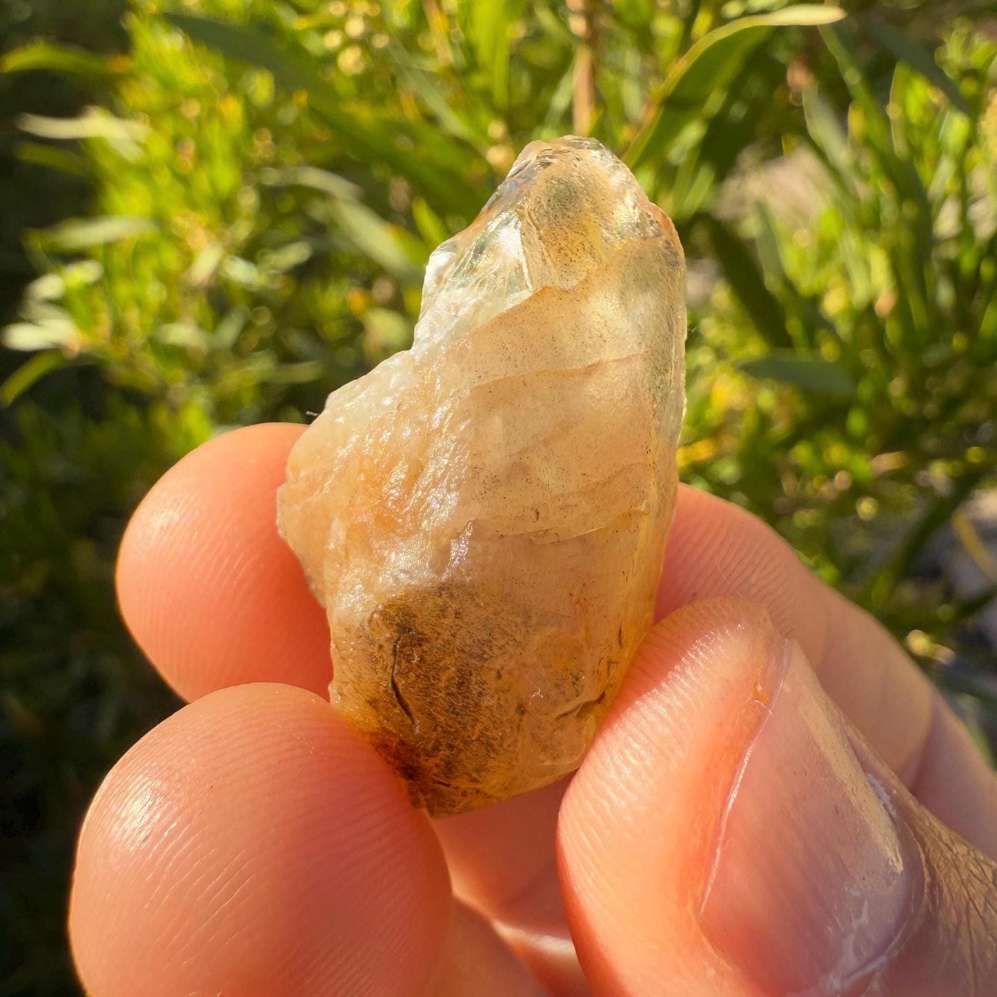 Golden Brazilian Phenacite, 8.94 (44.7 Carats) Tangerine Phenacite, High-Vibration Gemstone from Bahia, Brazil, Rare Collector’s Crystal
