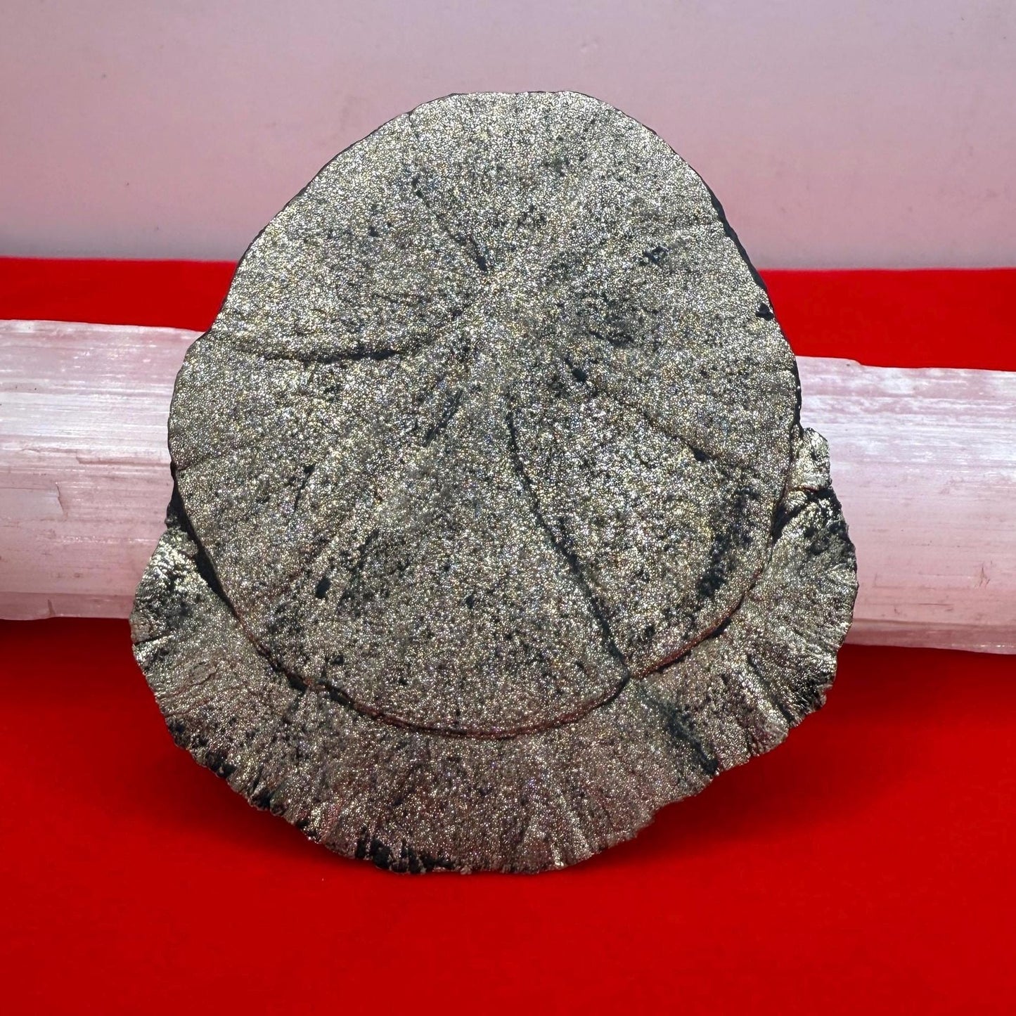 Pyrite Sun, Pyrite Dollar, Sparkling Pyrite, Rock Collection, Sparta Illinois, Radiant Sun, Abundance, Creativity, Energy Work, 67.38 Grams