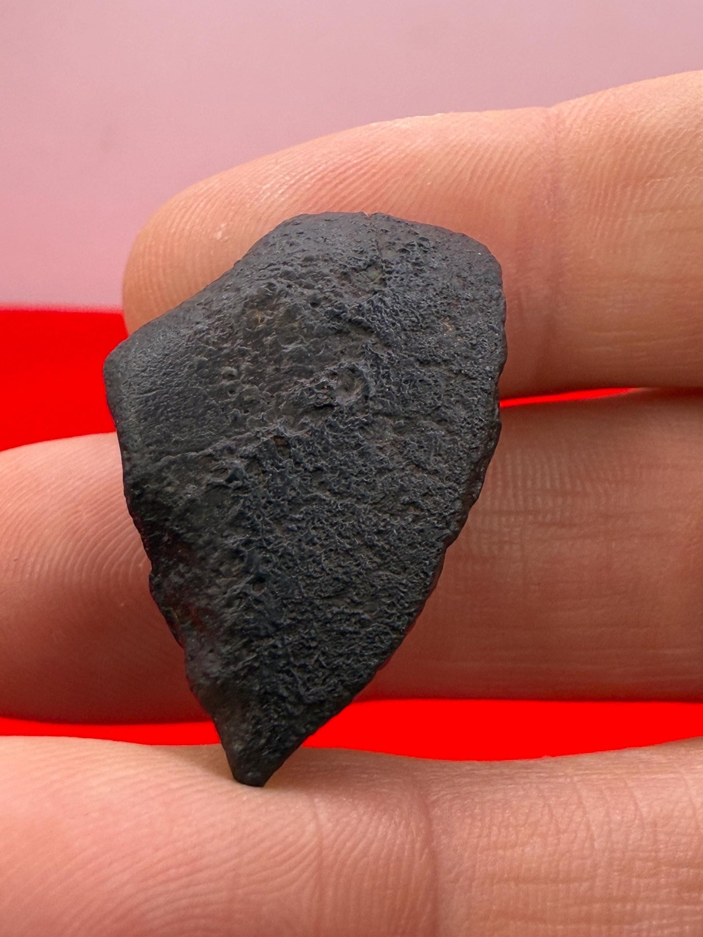 Meteorite NWA 869 Chondrite Stony Meteorite, 8.72 grams, Authentic Meteorite, Authentic Meteorite, COA, Astronomy Gift, Space Gift