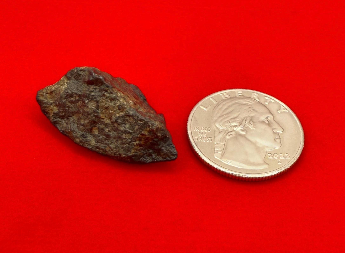 Meteorite NWA 869 Chondrite Stony Meteorite, 8.72 grams, Authentic Meteorite, Authentic Meteorite, COA, Astronomy Gift, Space Gift