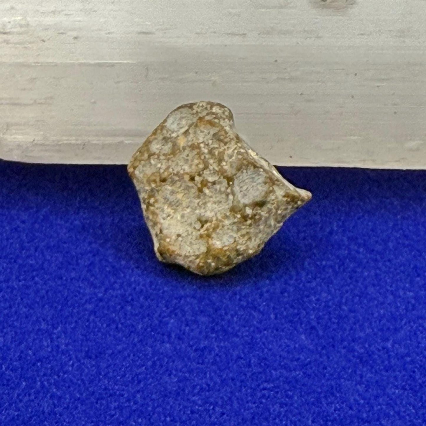 NWA 13974 Moon|Lunar Meteorite, Feldspathic Breccia, Moon Meteorite, Meteorite Collection, Lunar Feldspathic Breccia, 1.32 grams
