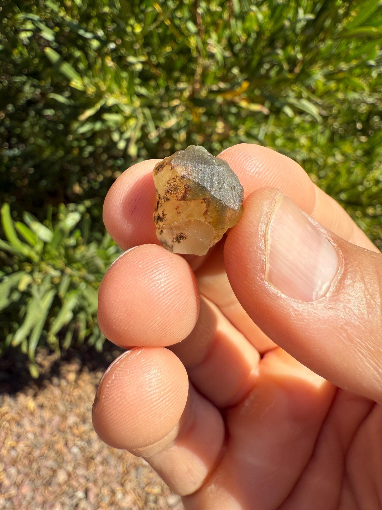 Rare Golden Brazilian Phenacite Crystal 2.57g, 12.85 carats, High-Vibration Energy Stone, Spiritual Growth, Transformation, and Meditation