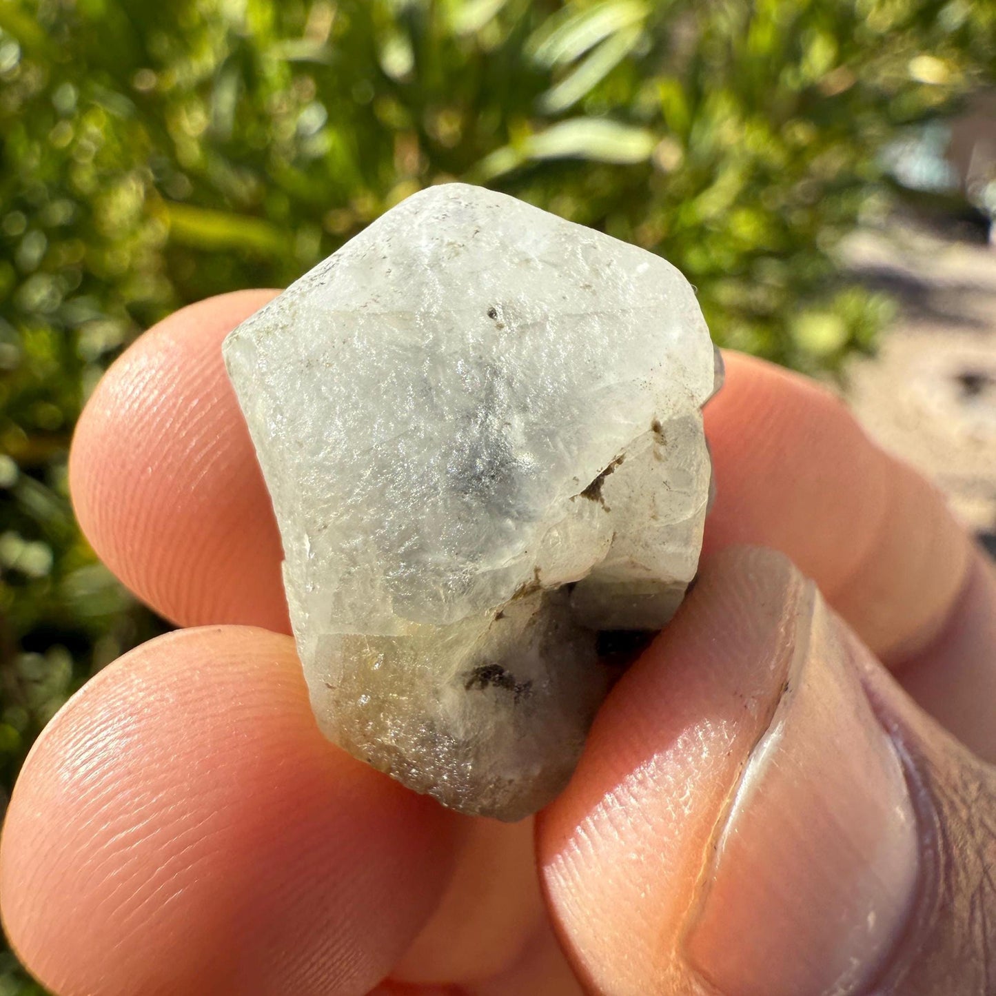 Rare Brazilian Phenacite Crystal 8.40 (42 Carats) High-Vibration Gem from Bahia, Brazil, Metaphysical & Collectible Crystal Specimen