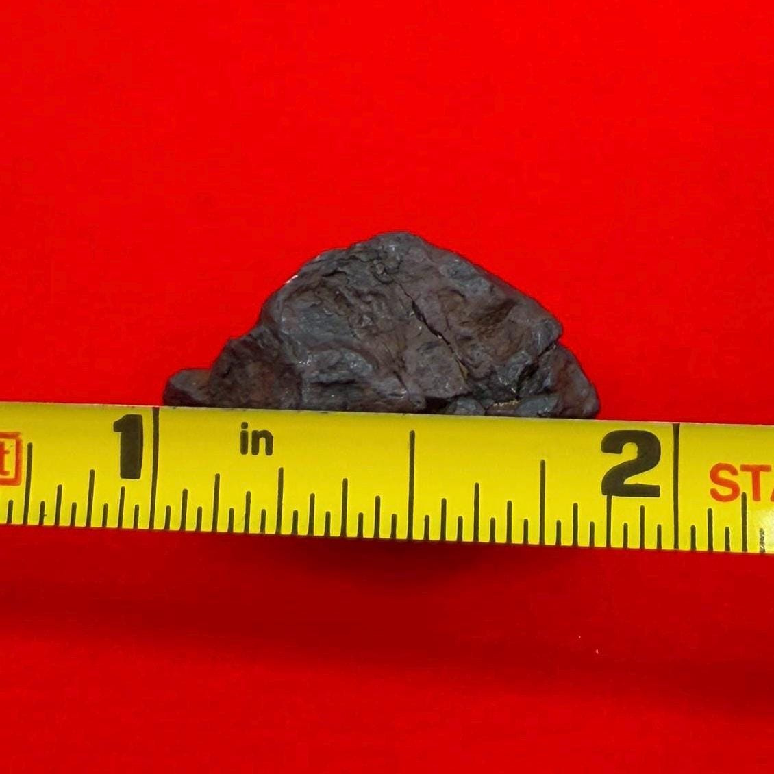 Canyon Diablo Meteorite Specimen, Arizona, 9.59 grams, Rare Meteorite, Iron Meteorite, Astronomy Gift, Space Gift, Energy Work, Meteorite