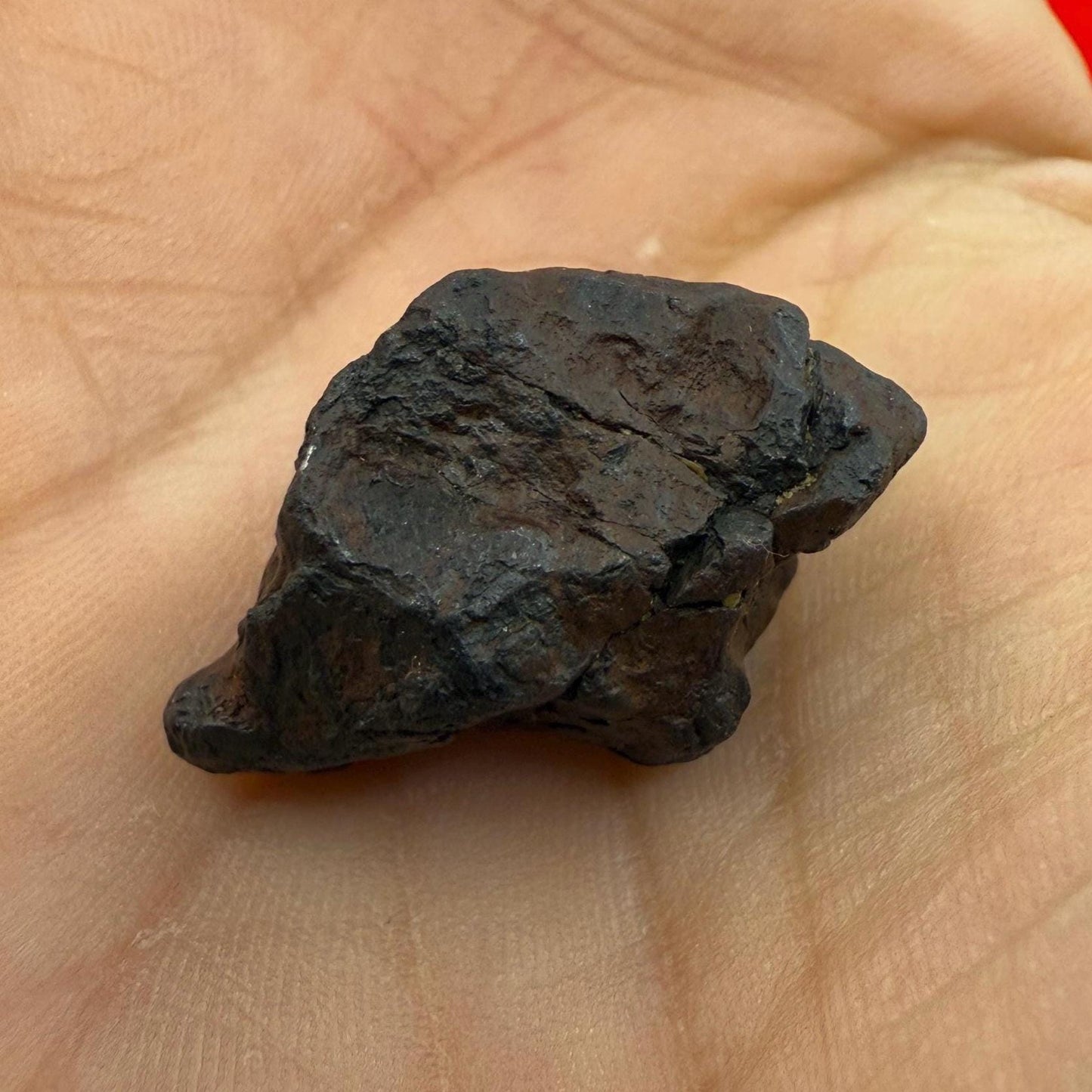 Canyon Diablo Meteorite Specimen, Arizona, 9.59 grams, Rare Meteorite, Iron Meteorite, Astronomy Gift, Space Gift, Energy Work, Meteorite
