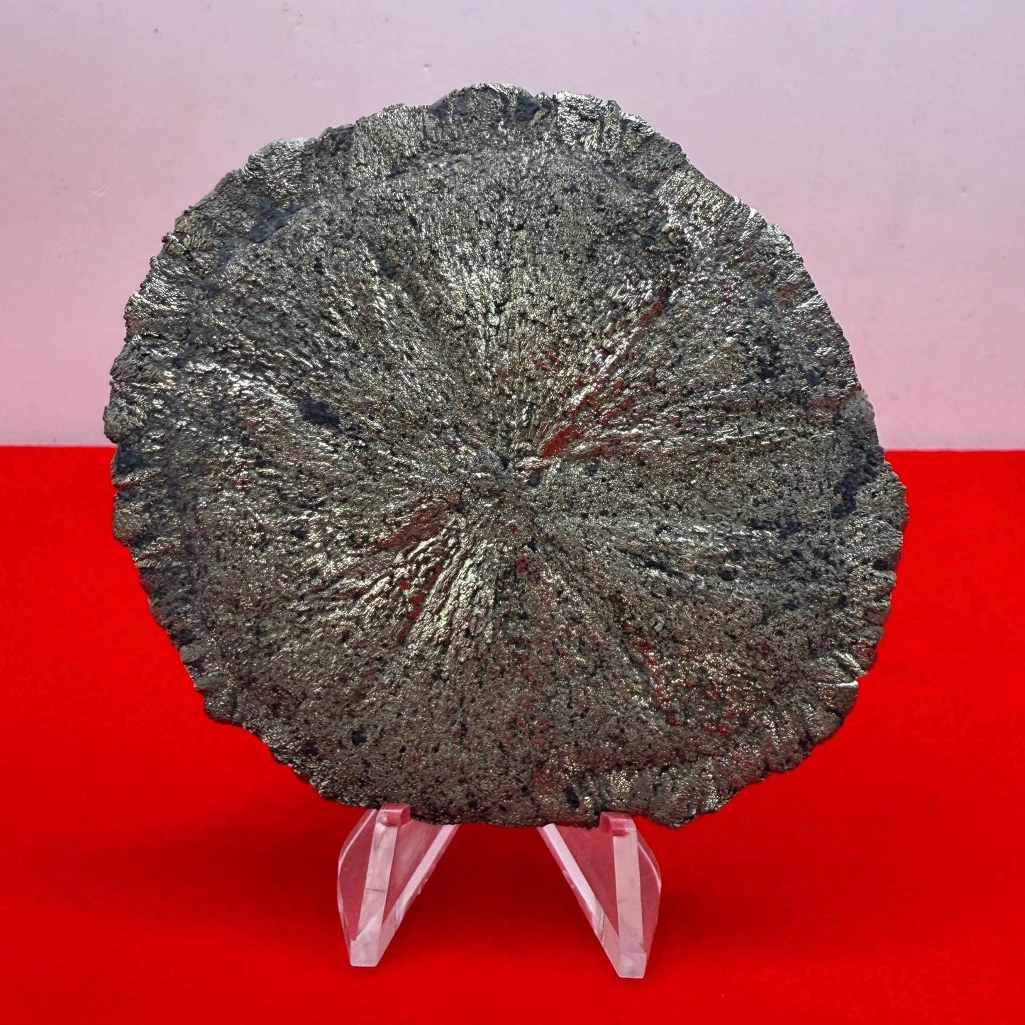 Sparkling Pyrite Sun, Pyrite Dollar, Pyrite, Rock Collection, Sparta Illinois, Radiant Sun, Abundance, Creativity, Energy Work, 83.81 Grams