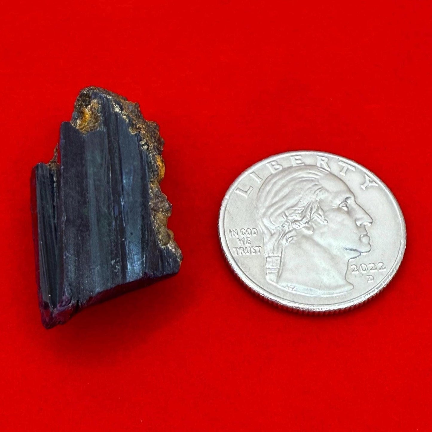 Rare Vivianite Crystal, Vivianite, Vivianite, Brazilian Vivianite, Reiki Energy, Crystal Collection, Reiki, 8.88 grams|44.4 carats