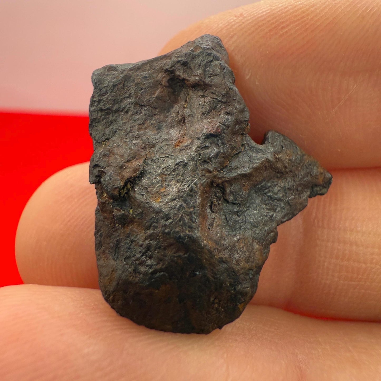 Canyon Diablo Meteorite Specimen, Arizona, 7.66 grams, Rare Meteorite, Iron Meteorite, Astronomy Gift, Space Gift, Energy Work, Meteorite