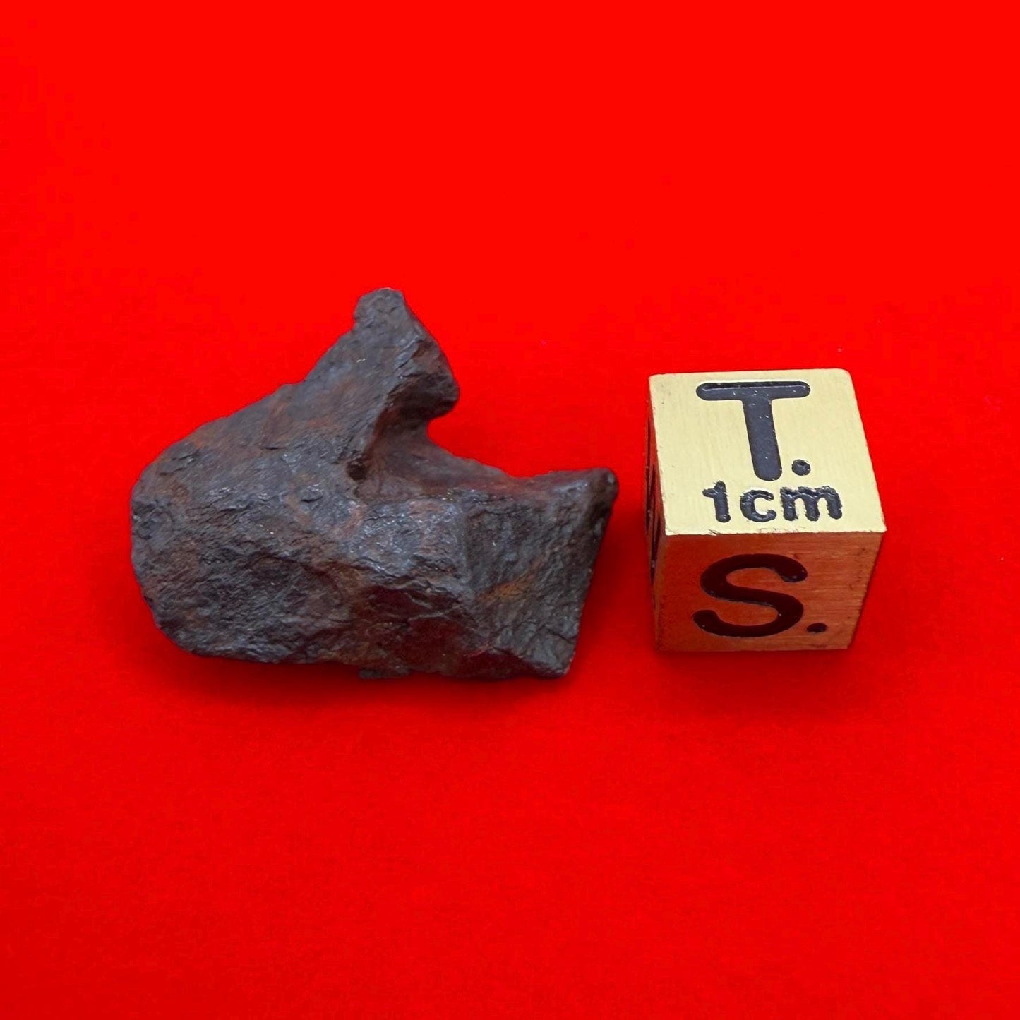 Canyon Diablo Meteorite Specimen, Arizona, 7.66 grams, Rare Meteorite, Iron Meteorite, Astronomy Gift, Space Gift, Energy Work, Meteorite