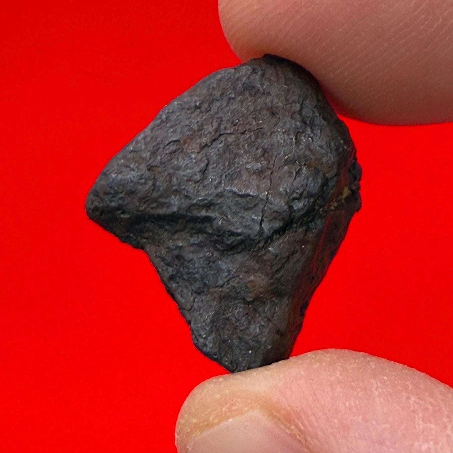 Canyon Diablo Meteorite Specimen, Arizona, 8.69 grams, Rare Meteorite, Iron Meteorite, Astronomy Gift, Space Gift, Energy Work, Meteorite
