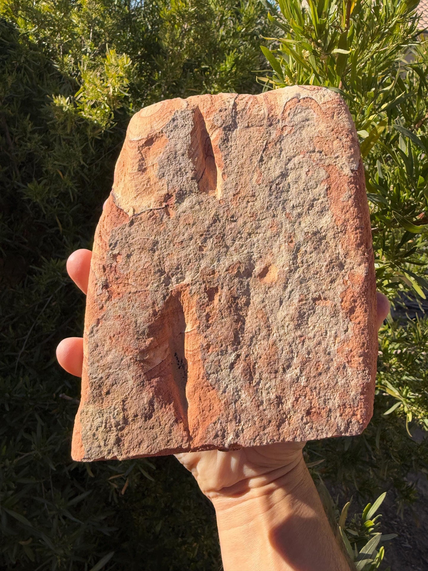 Beautiful Sandstone Sculpture from Kanab Utah, Natural, Shinarump, Sandstone, Sandstone Specimen, Rock Collection, 4 lbs 1.0 ounces