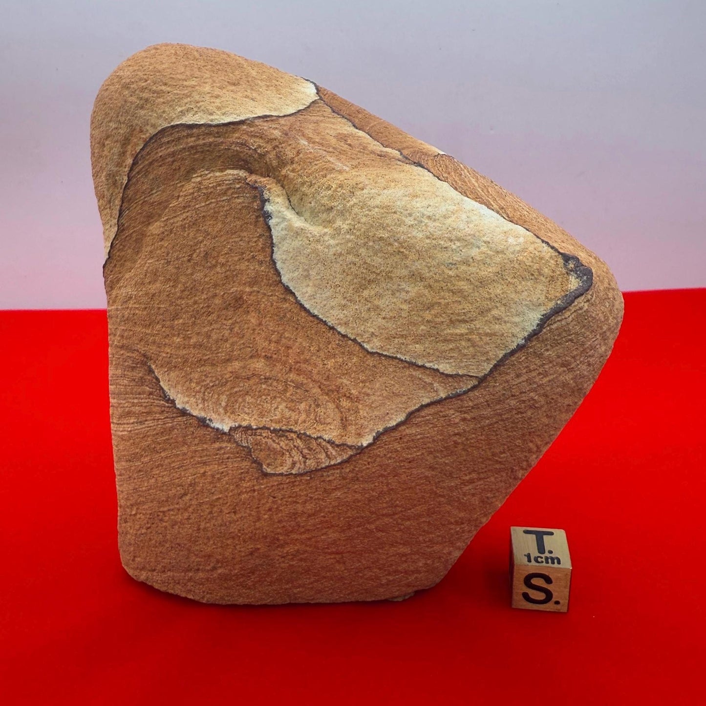 Beautiful Sandstone Sculpture from Kanab Utah, Natural, Shinarump, Sandstone, Sandstone Specimen, Rock Collection, 1 lb 1.5 ounces