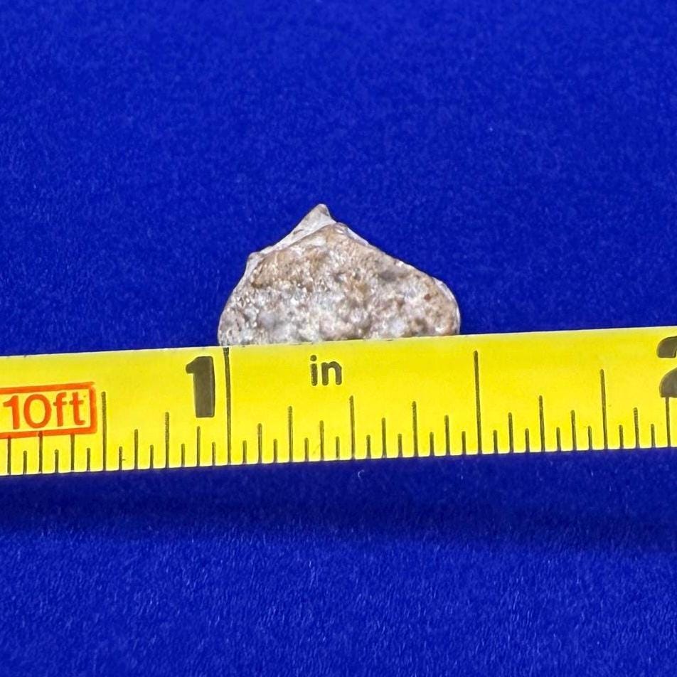 NWA 13974 Moon|Lunar Meteorite, Feldspathic Breccia, Moon Meteorite, Meteorite Collection, Lunar Feldspathic Breccia, 1.32 grams