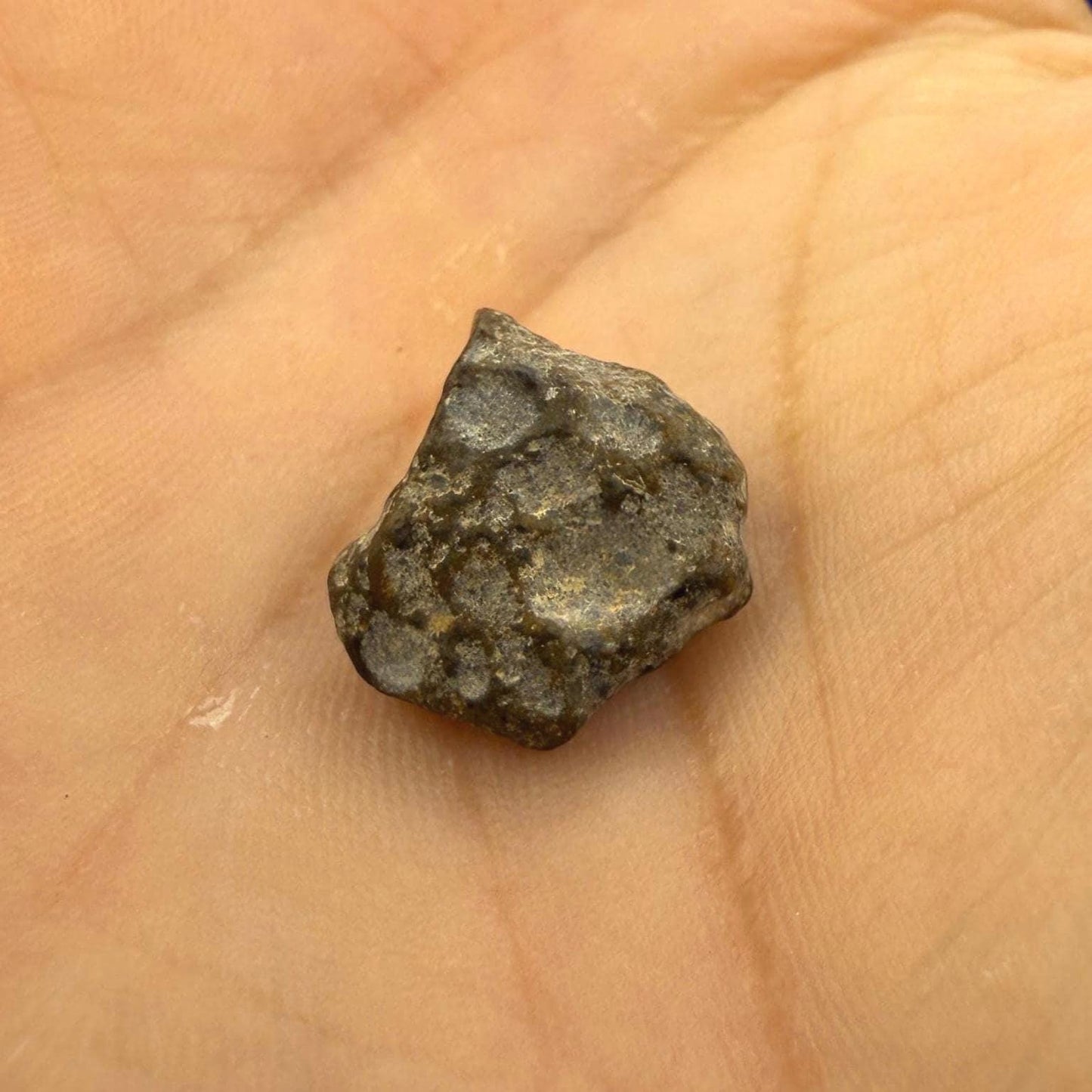 NWA 13974 Moon|Lunar Meteorite, Feldspathic Breccia, Moon Meteorite, Meteorite Collection, Lunar Feldspathic Breccia, 1.32 grams