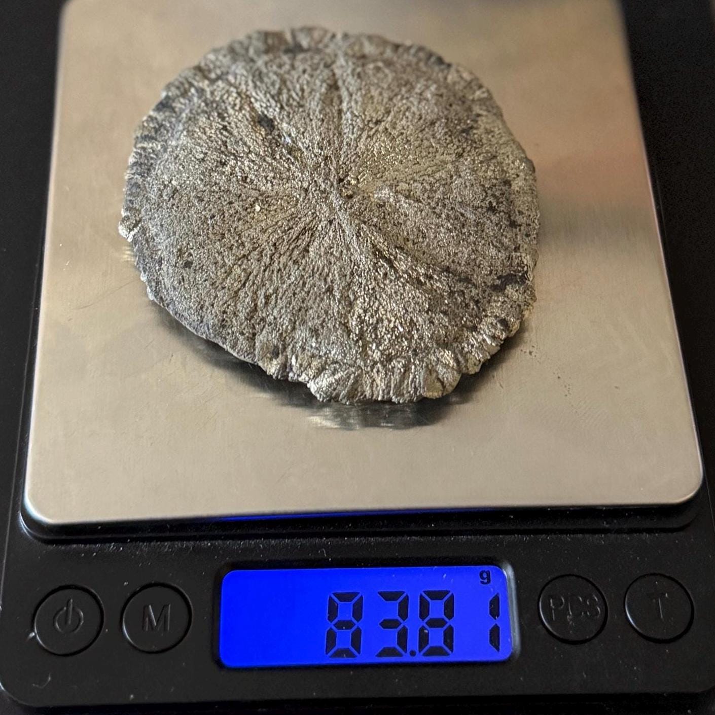 Sparkling Pyrite Sun, Pyrite Dollar, Pyrite, Rock Collection, Sparta Illinois, Radiant Sun, Abundance, Creativity, Energy Work, 83.81 Grams
