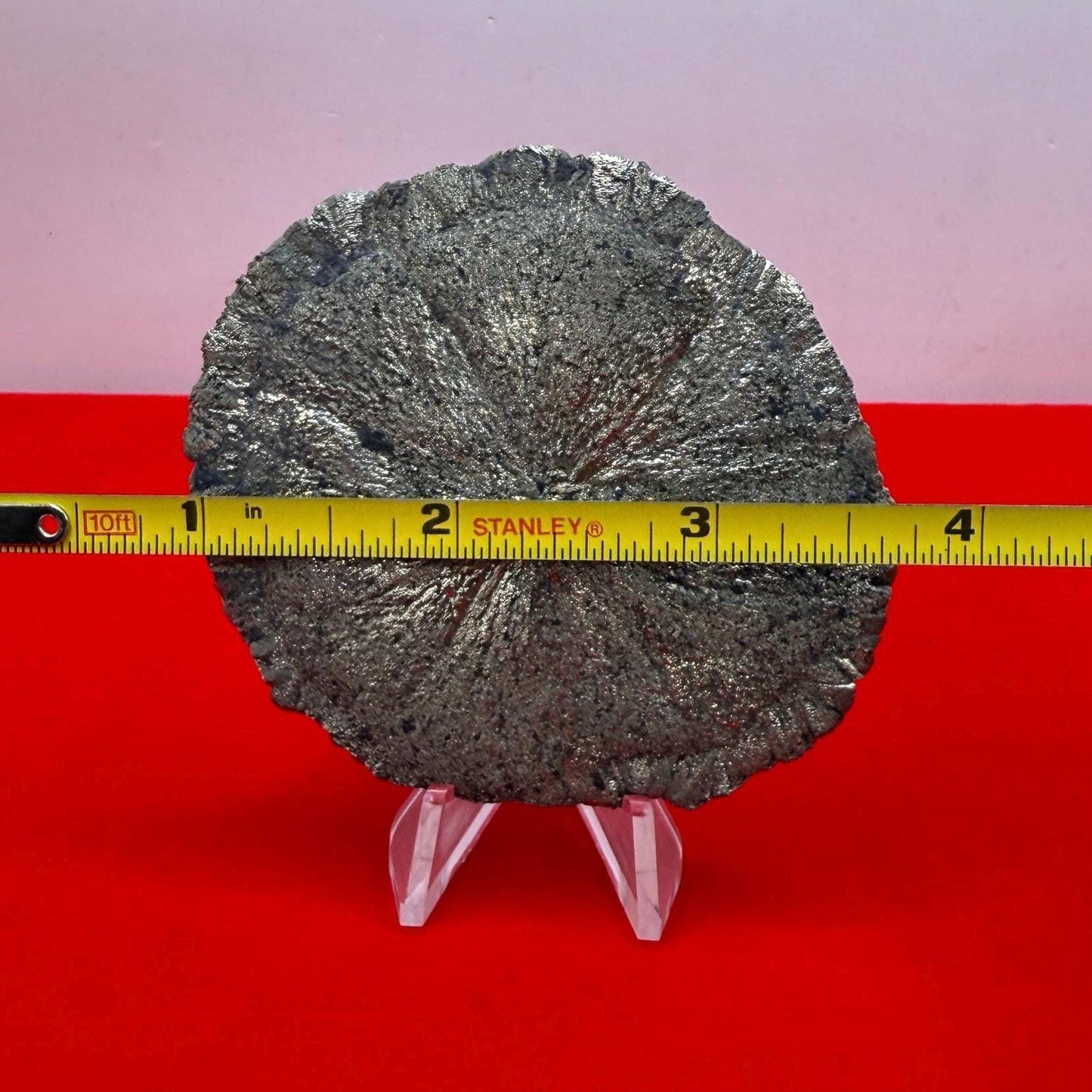 Sparkling Pyrite Sun, Pyrite Dollar, Pyrite, Rock Collection, Sparta Illinois, Radiant Sun, Abundance, Creativity, Energy Work, 83.81 Grams