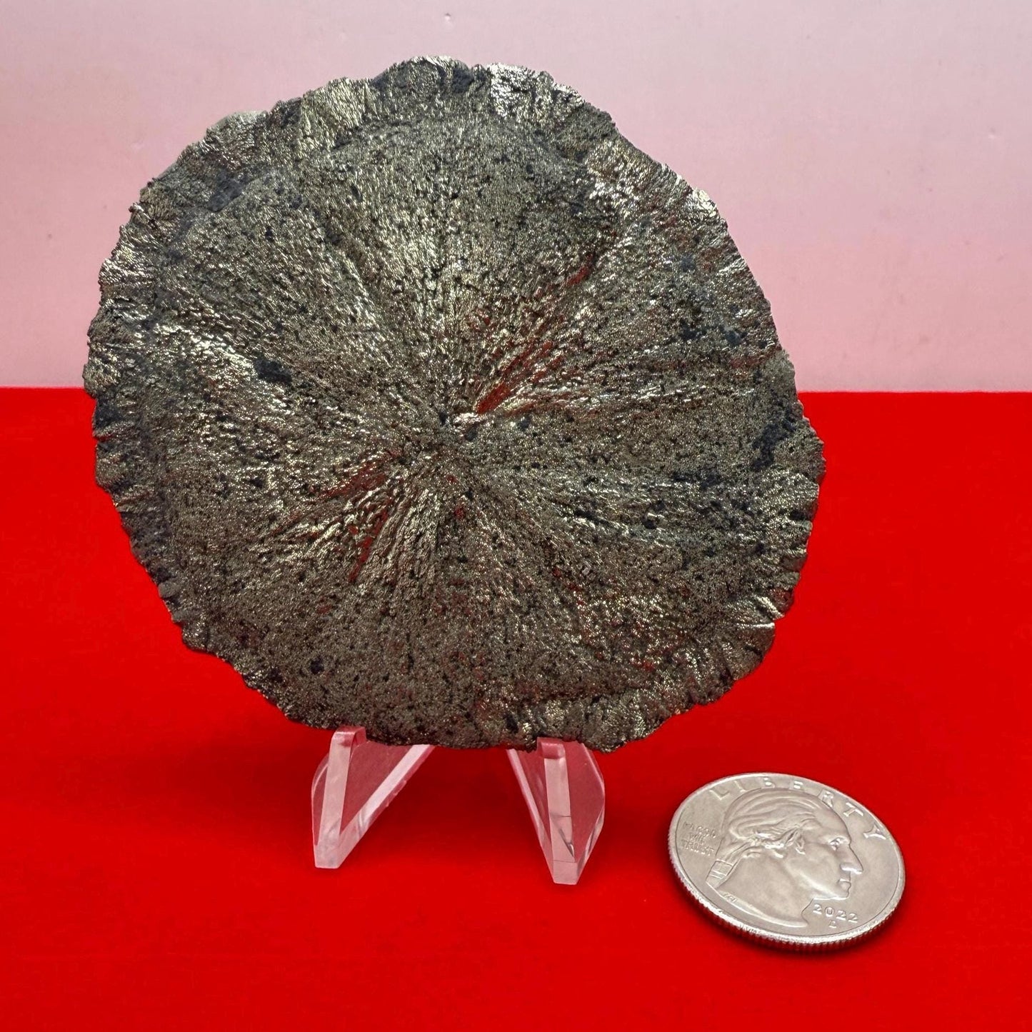Sparkling Pyrite Sun, Pyrite Dollar, Pyrite, Rock Collection, Sparta Illinois, Radiant Sun, Abundance, Creativity, Energy Work, 83.81 Grams