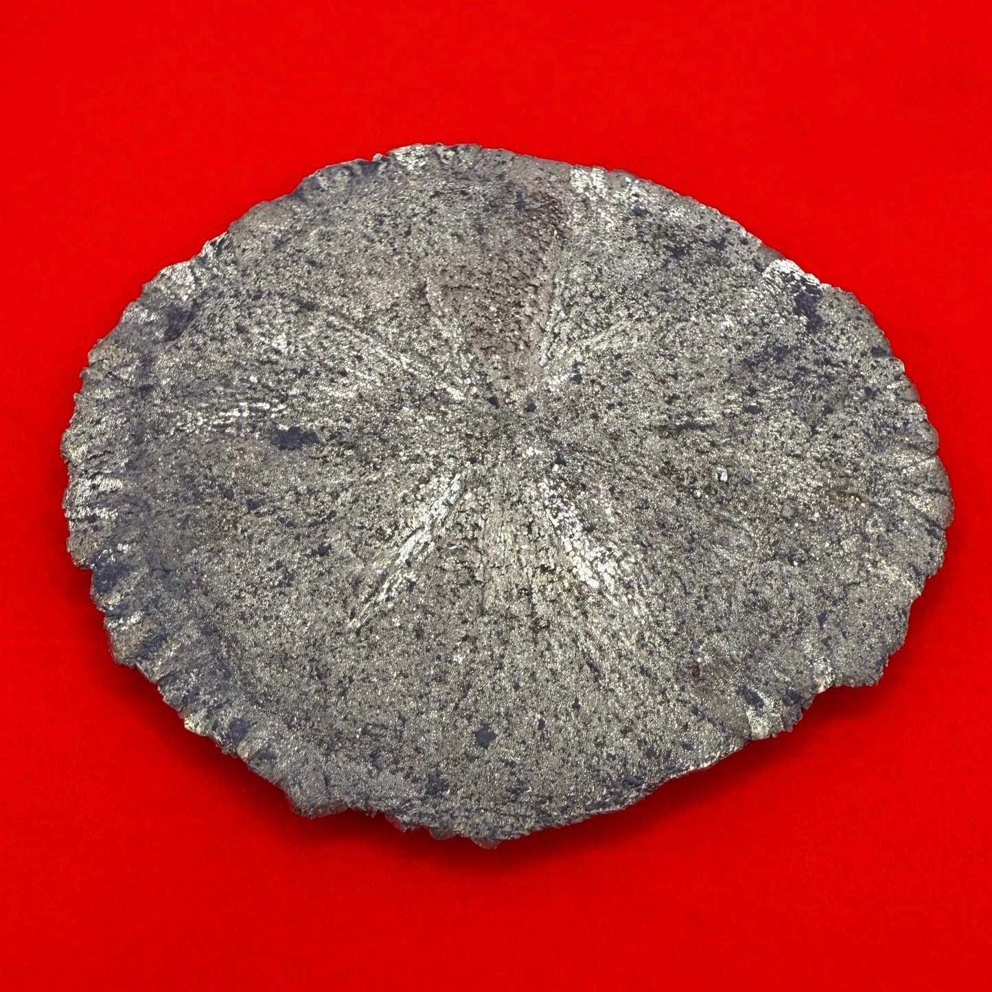 Sparkling Pyrite Sun, Pyrite Dollar, Pyrite, Rock Collection, Sparta Illinois, Radiant Sun, Abundance, Creativity, Energy Work, 83.81 Grams