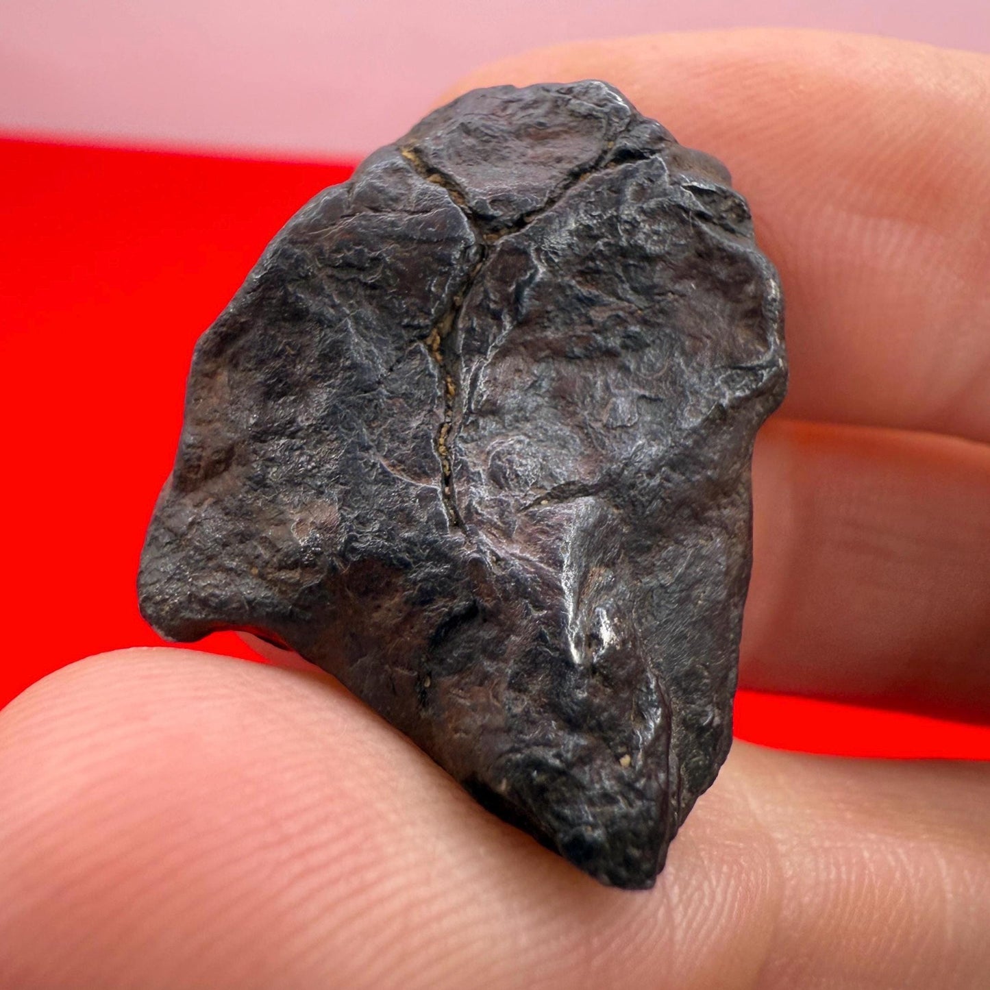 Canyon Diablo Meteorite Specimen, Arizona, 18.95 grams, Rare Meteorite, Iron Meteorite, Astronomy Gift, Space Gift, Energy Work, Meteorite