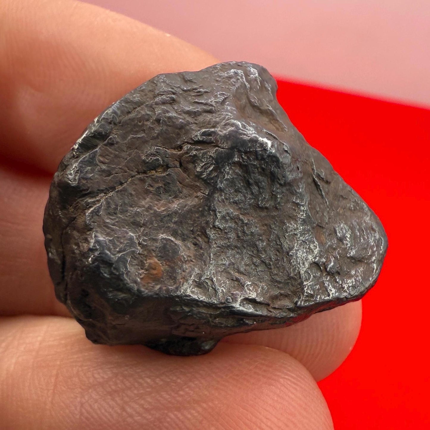 Canyon Diablo Meteorite Specimen, Arizona, 18.95 grams, Rare Meteorite, Iron Meteorite, Astronomy Gift, Space Gift, Energy Work, Meteorite