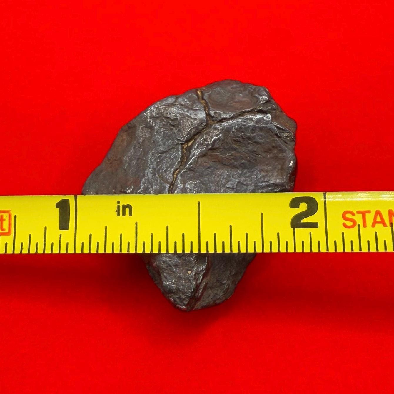 Canyon Diablo Meteorite Specimen, Arizona, 18.95 grams, Rare Meteorite, Iron Meteorite, Astronomy Gift, Space Gift, Energy Work, Meteorite
