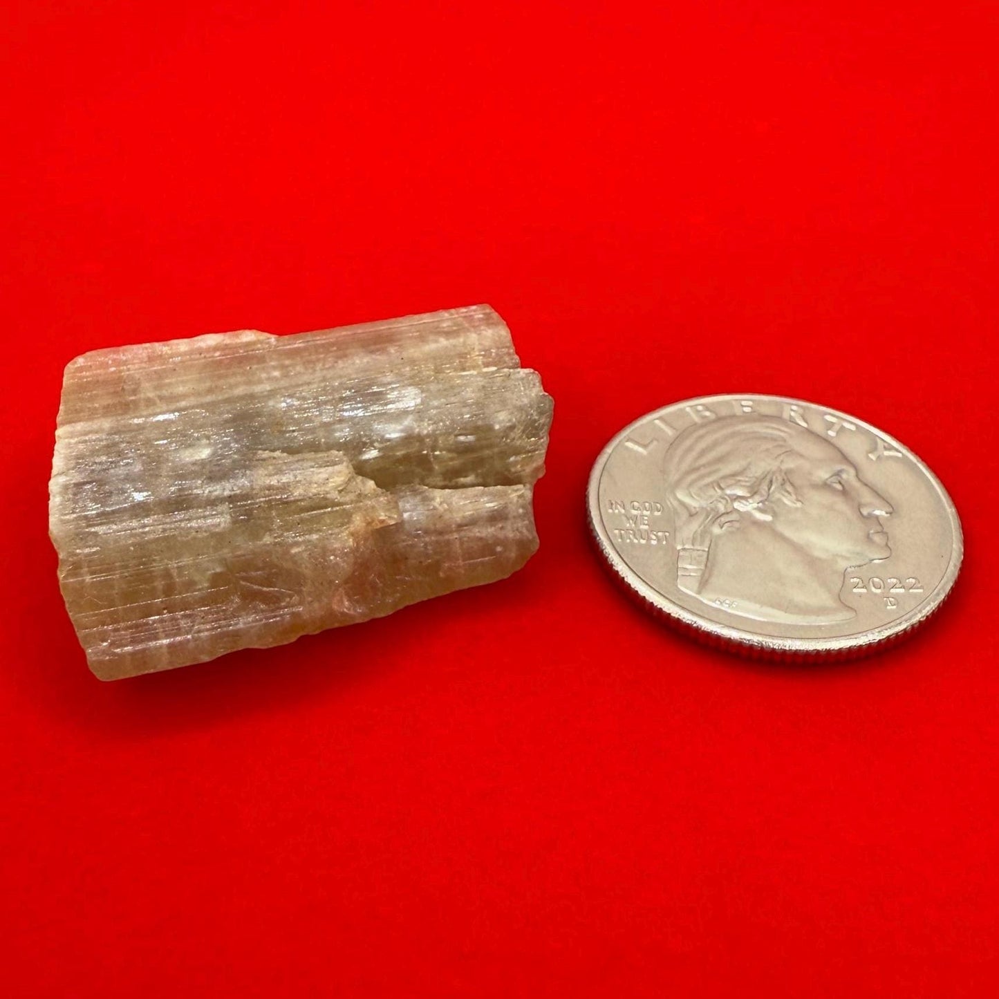 Beautiful Yellow Apatite, Imilchil Morocco, Apatite Crystal, Manifestation, Solar Plexus, Crystal Collection, 14.59 Grams/72.95 Carats
