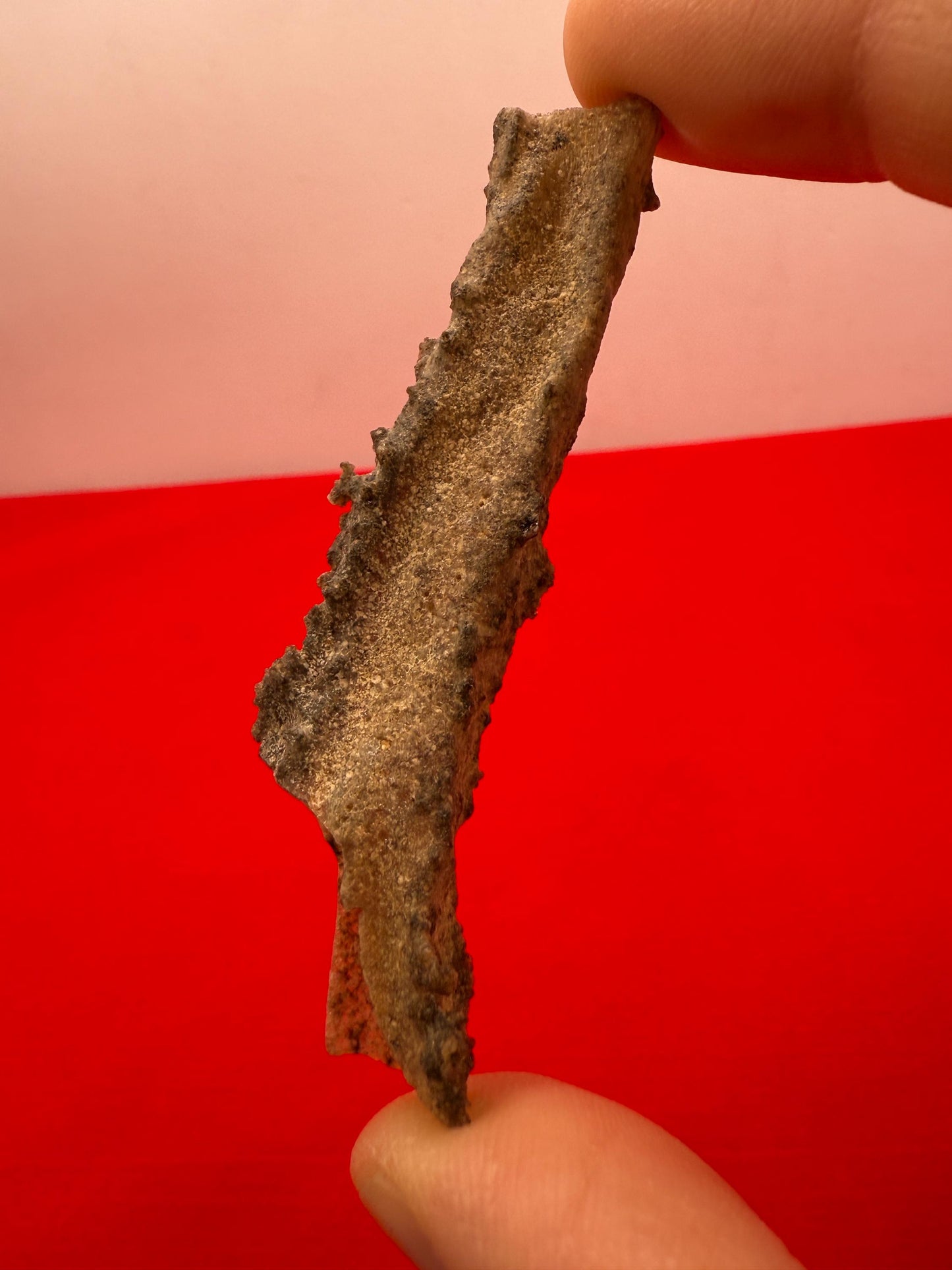Fulgerite from Egypt, Fossilized Lighting, Sahara Desert, Rock Collection, Energy Work, Reiki, Manifestation, Science Gift, 2.75 grams