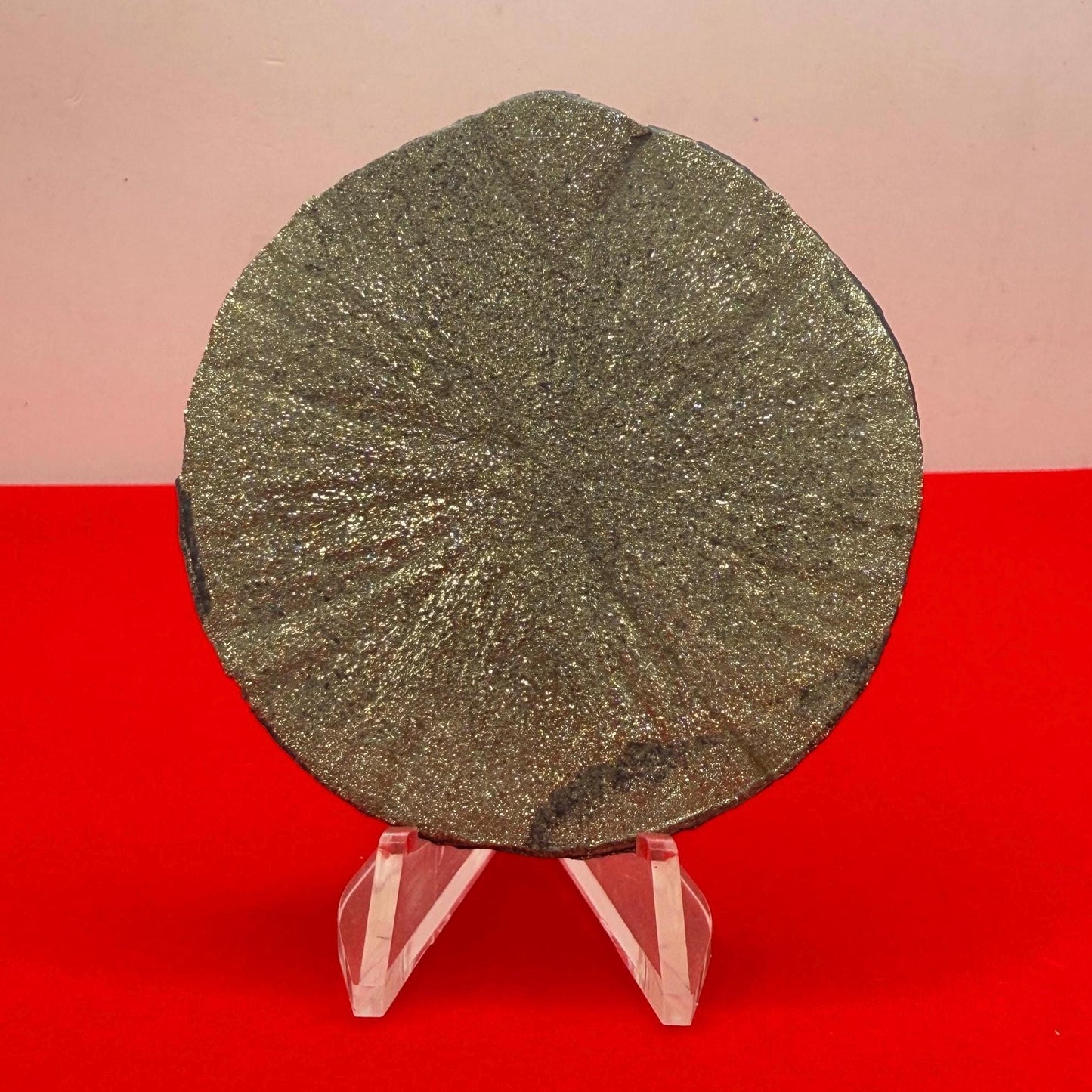 Sparkling Pyrite Sun, Pyrite Dollar, Pyrite, Rock Collection, Sparta Illinois, Radiant Sun, Abundance, Creativity, Energy Work, 61.99 Grams