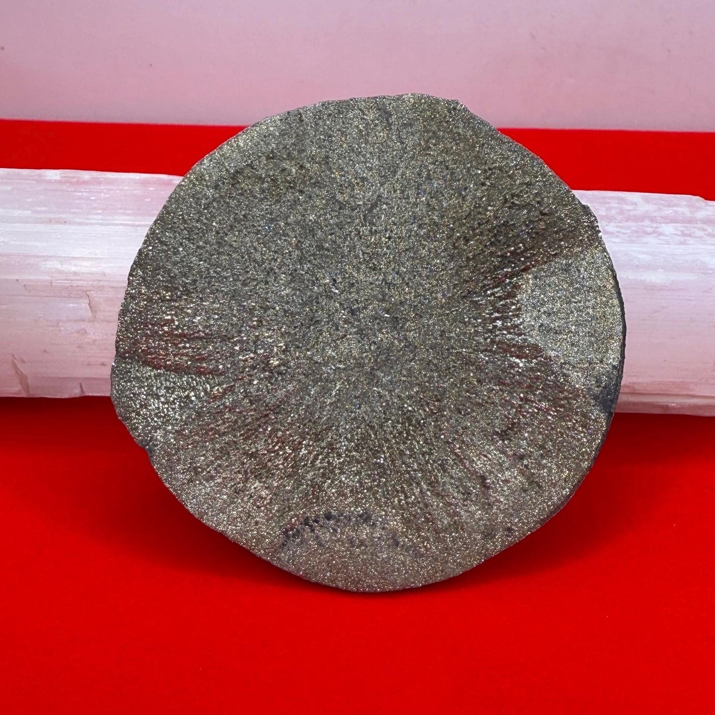 Sparkling Pyrite Sun, Pyrite Dollar, Pyrite, Rock Collection, Sparta Illinois, Radiant Sun, Abundance, Creativity, Energy Work, 61.99 Grams