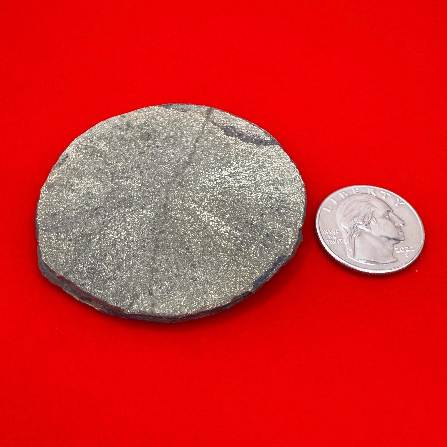 Sparkling Pyrite Sun, Pyrite Dollar, Pyrite, Rock Collection, Sparta Illinois, Radiant Sun, Abundance, Creativity, Energy Work, 61.99 Grams