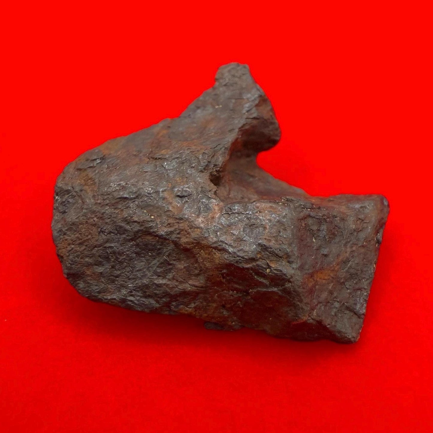 Canyon Diablo Meteorite Specimen, Arizona, 7.66 grams, Rare Meteorite, Iron Meteorite, Astronomy Gift, Space Gift, Energy Work, Meteorite