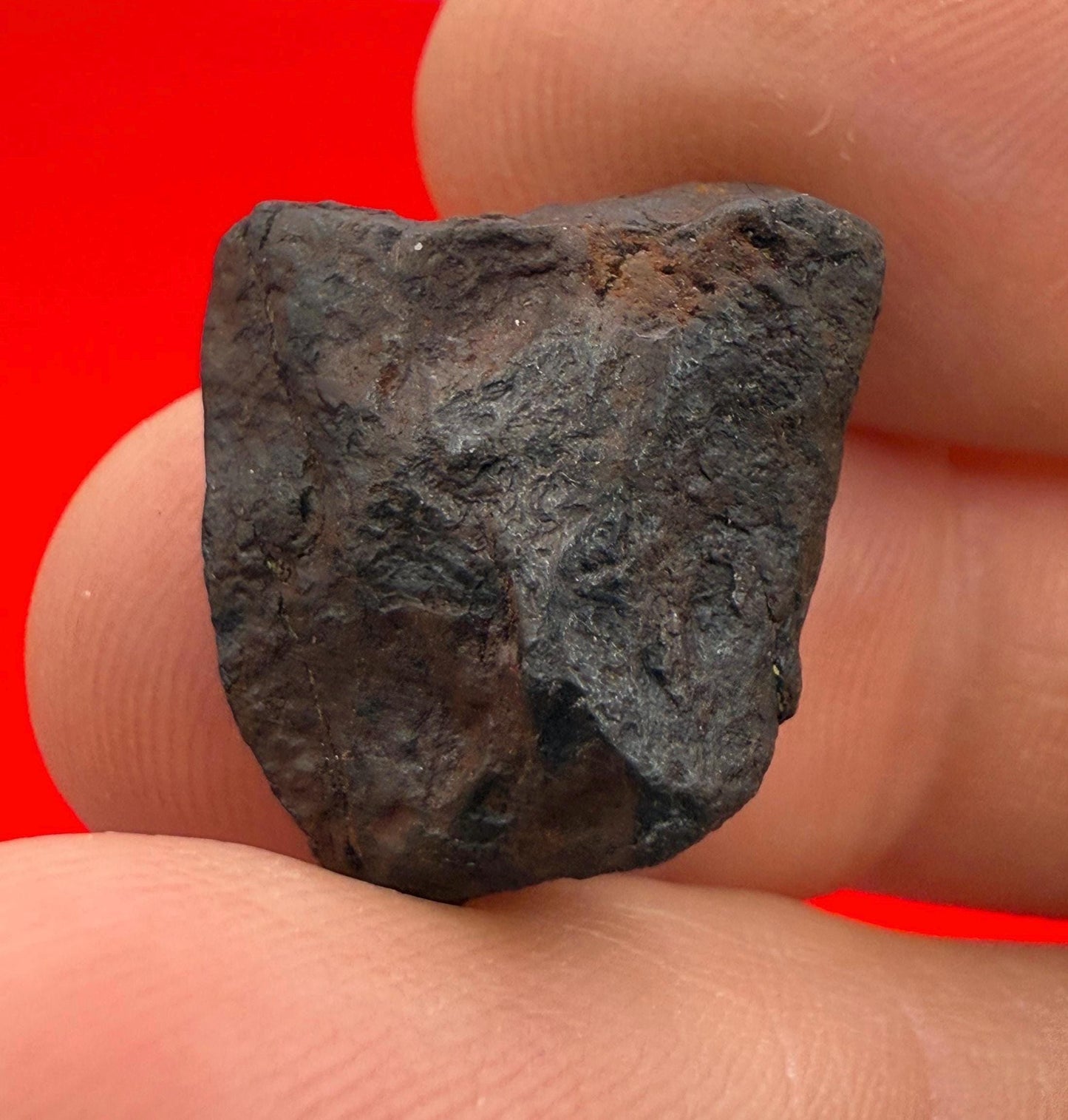 Canyon Diablo Meteorite Specimen, Arizona, 8.69 grams, Rare Meteorite, Iron Meteorite, Astronomy Gift, Space Gift, Energy Work, Meteorite