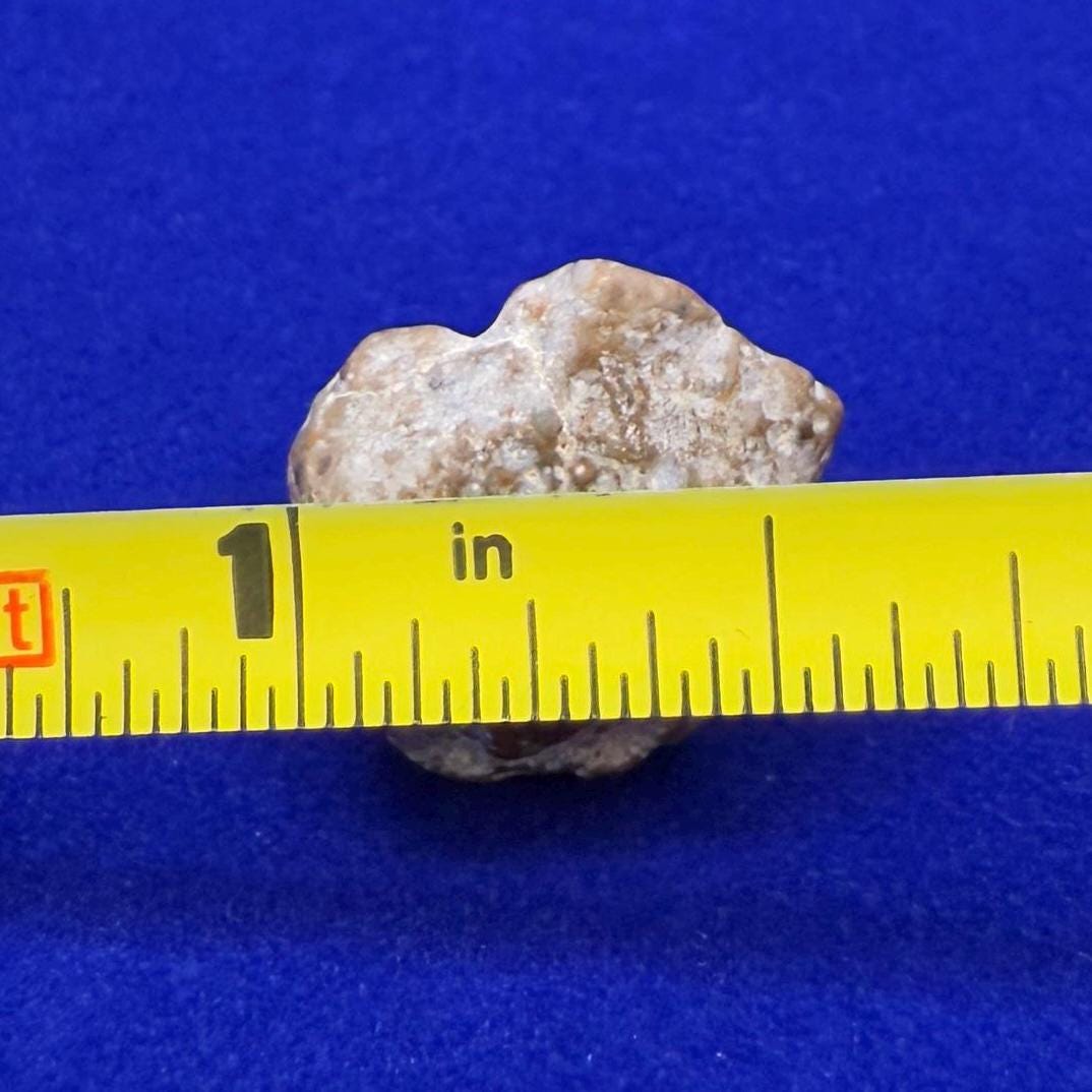 NWA 13974 Moon|Lunar Meteorite, Feldspathic Breccia, Moon Meteorite, Meteorite Collection, Lunar Feldspathic Breccia, 3.29 grams