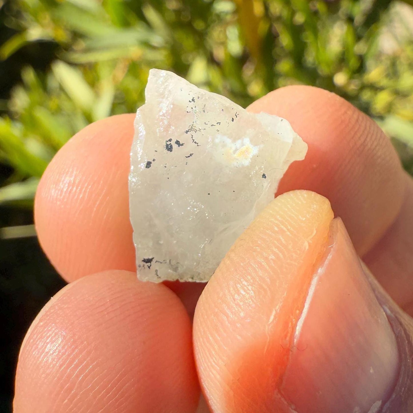 Rare Brazilian Phenacite Crystal 1.65g/8.25 carats, High-Vibration Stone, Spiritual Growth, Meditation, Energy Amplification, Brazil