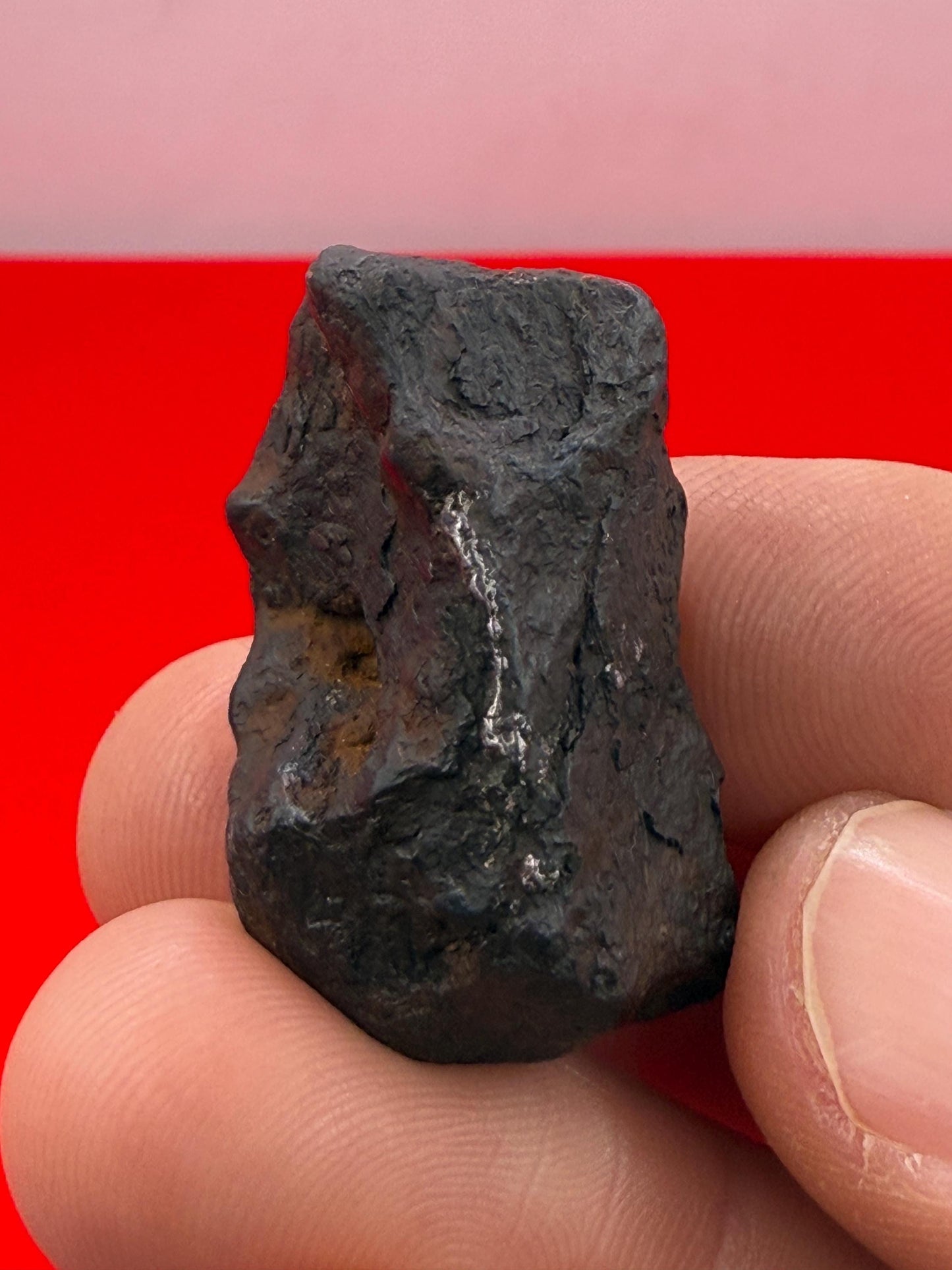 Canyon Diablo Meteorite Specimen, Arizona, 23.18 grams, Rare Meteorite, Iron Meteorite, Astronomy Gift, Space Gift, Energy Work, Meteorite